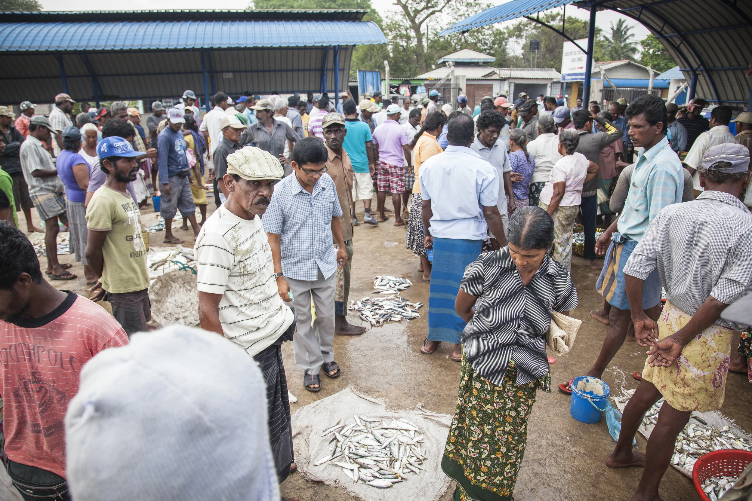 20140603 Negambo-7257.jpg