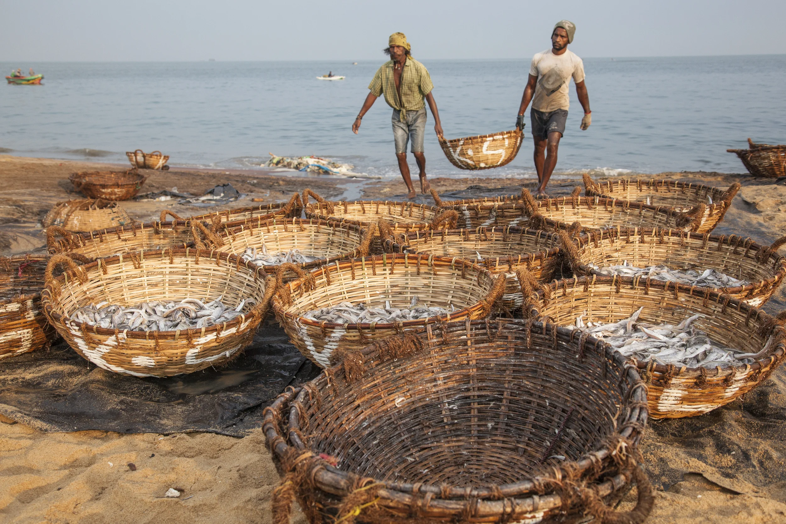 20140603 Negambo-7124.jpg