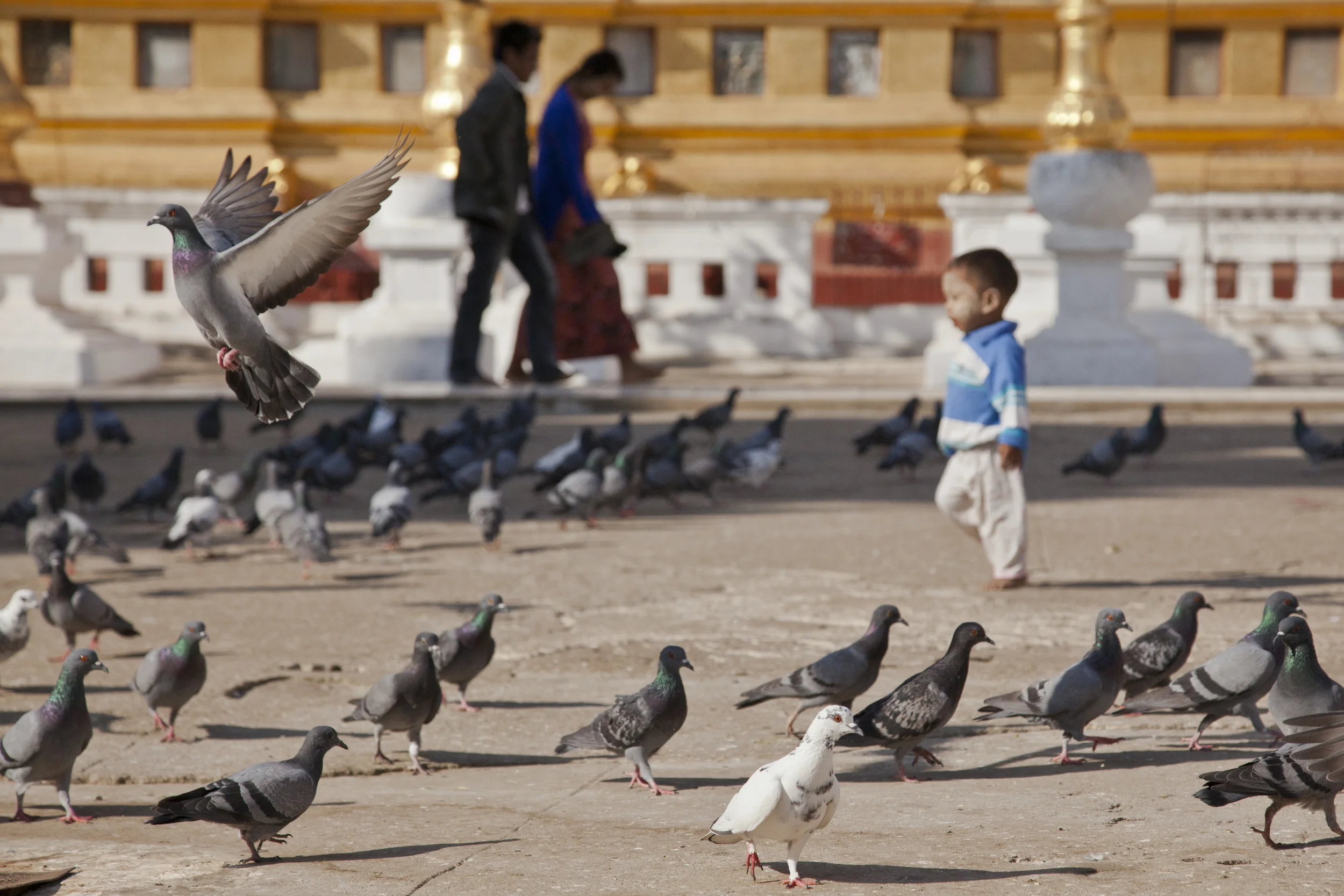 201407121 Burma_9428.jpg