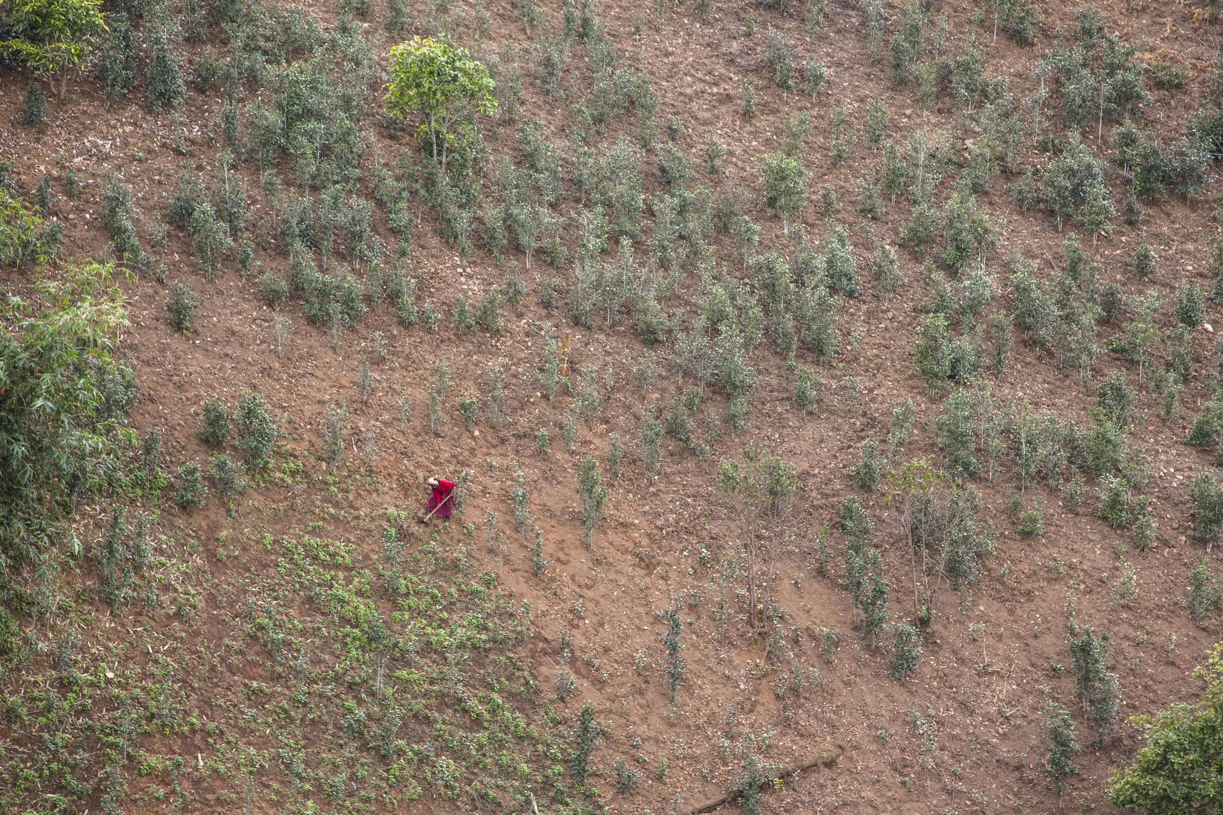 201407121 Burma_9802.jpg