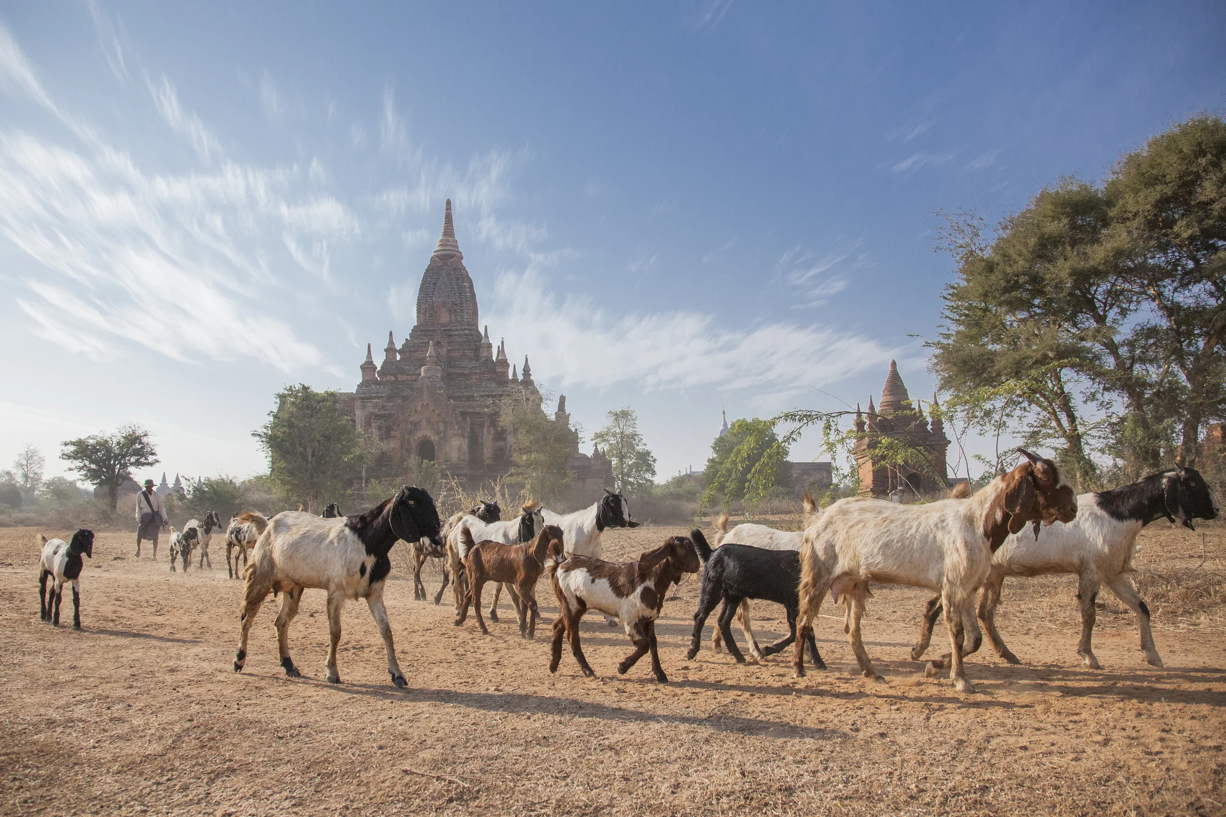201407121 Burma_9153.jpg