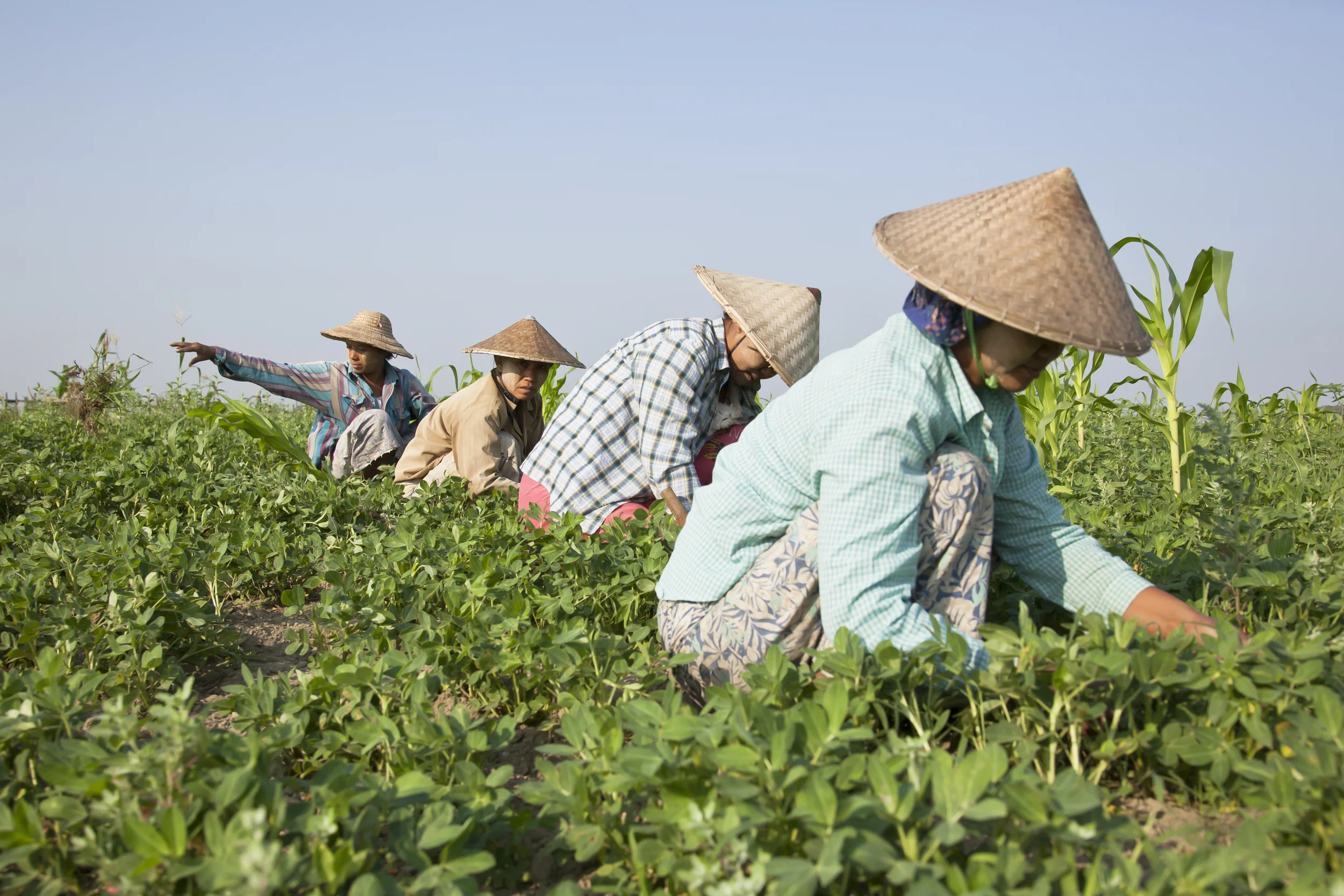 201407121 Burma_3966.jpg