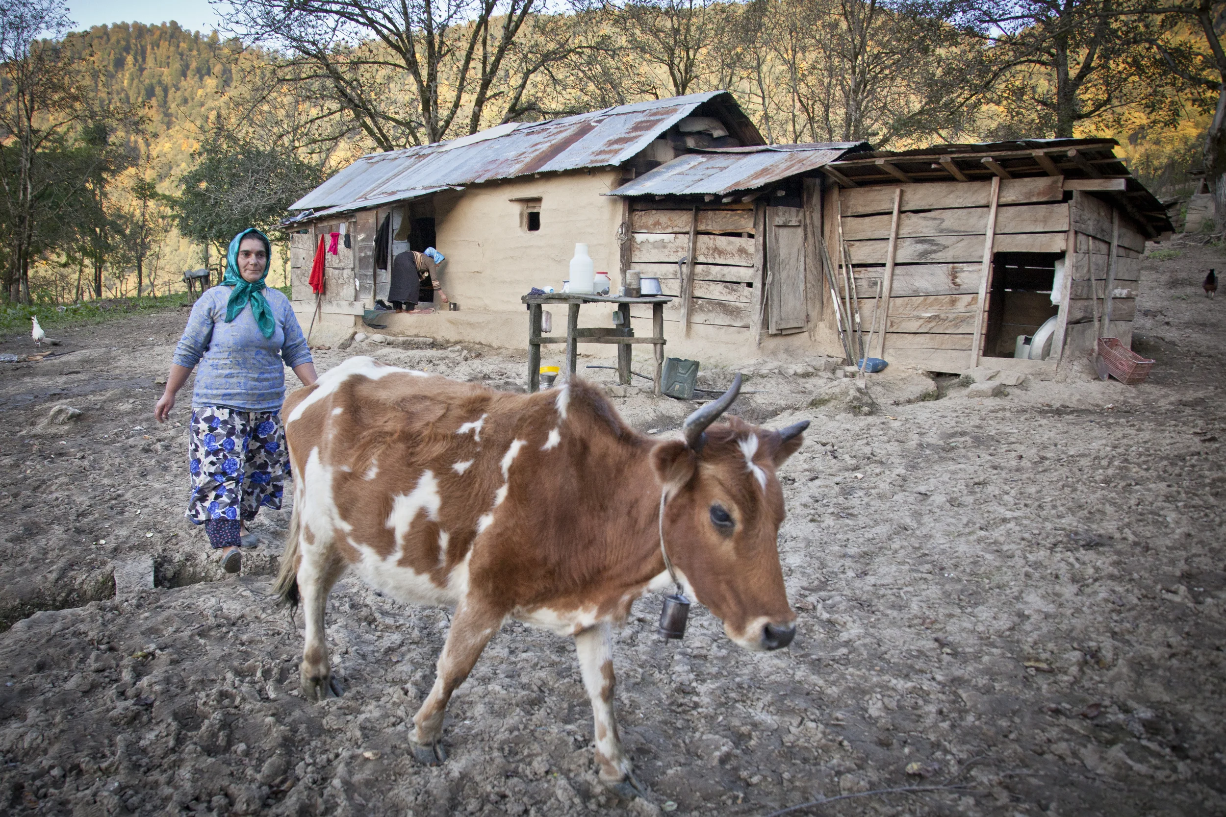 20131216 Talesh -9879.jpg