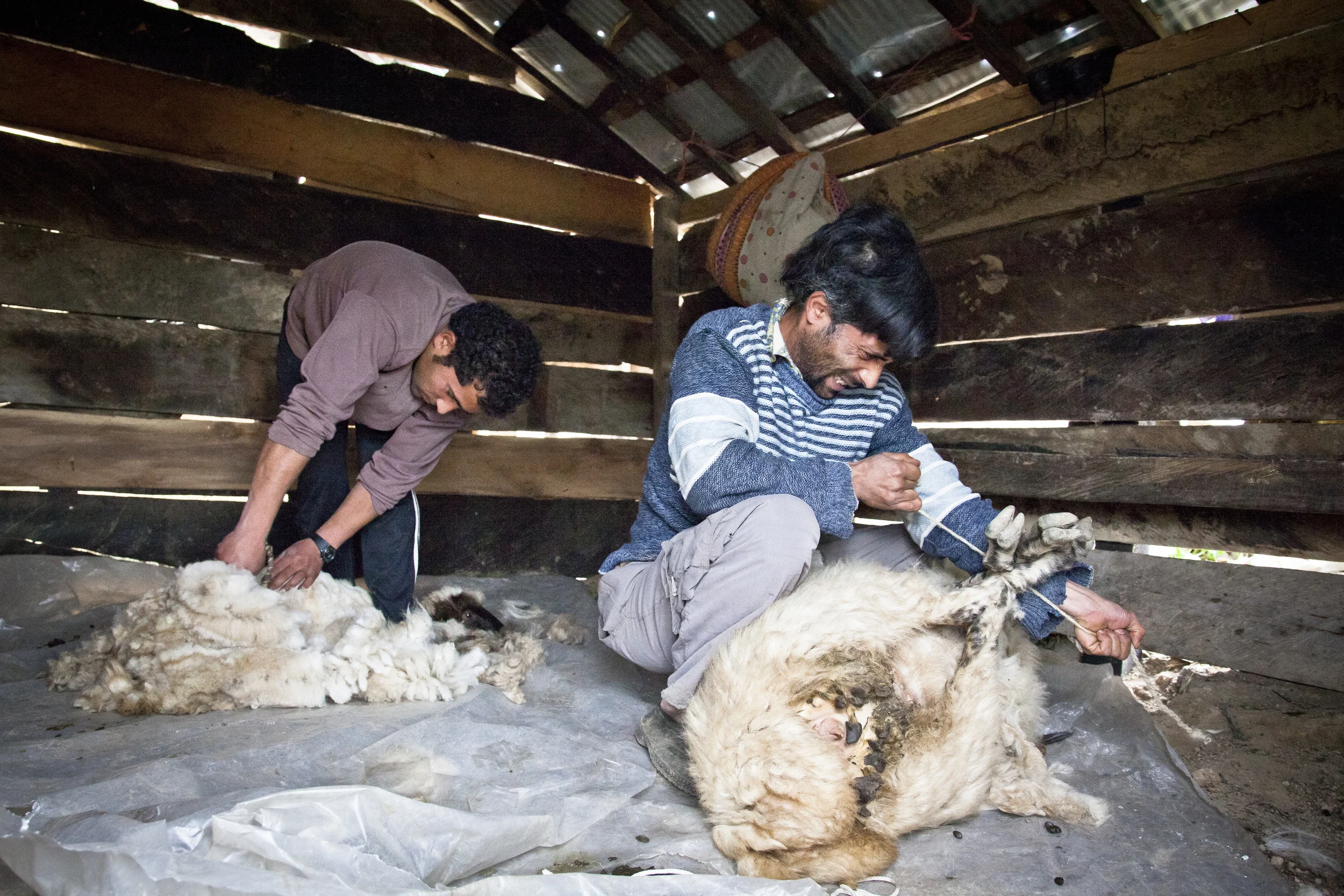 20131216 Talesh -0807.jpg