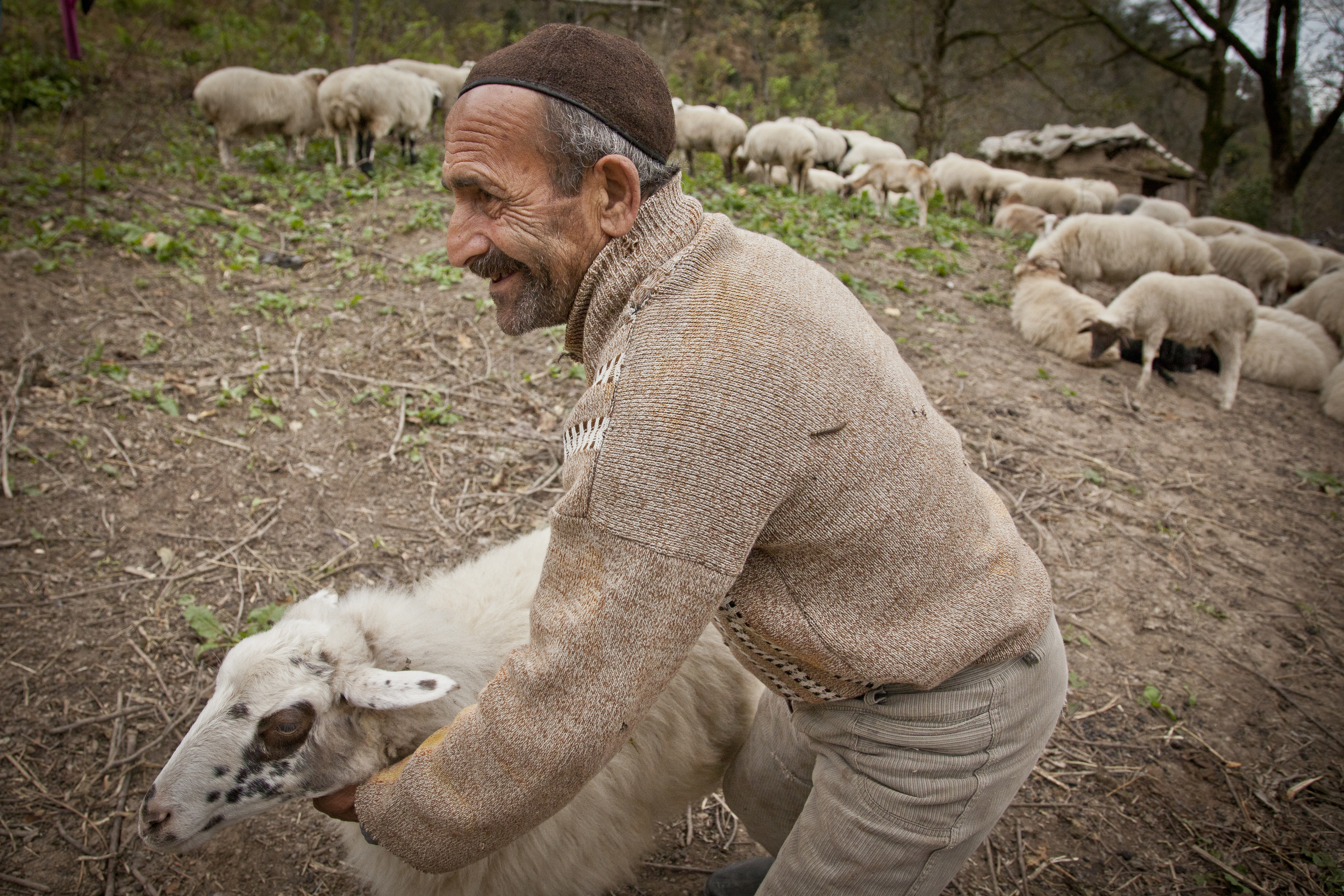 20131216 Talesh -0791.jpg