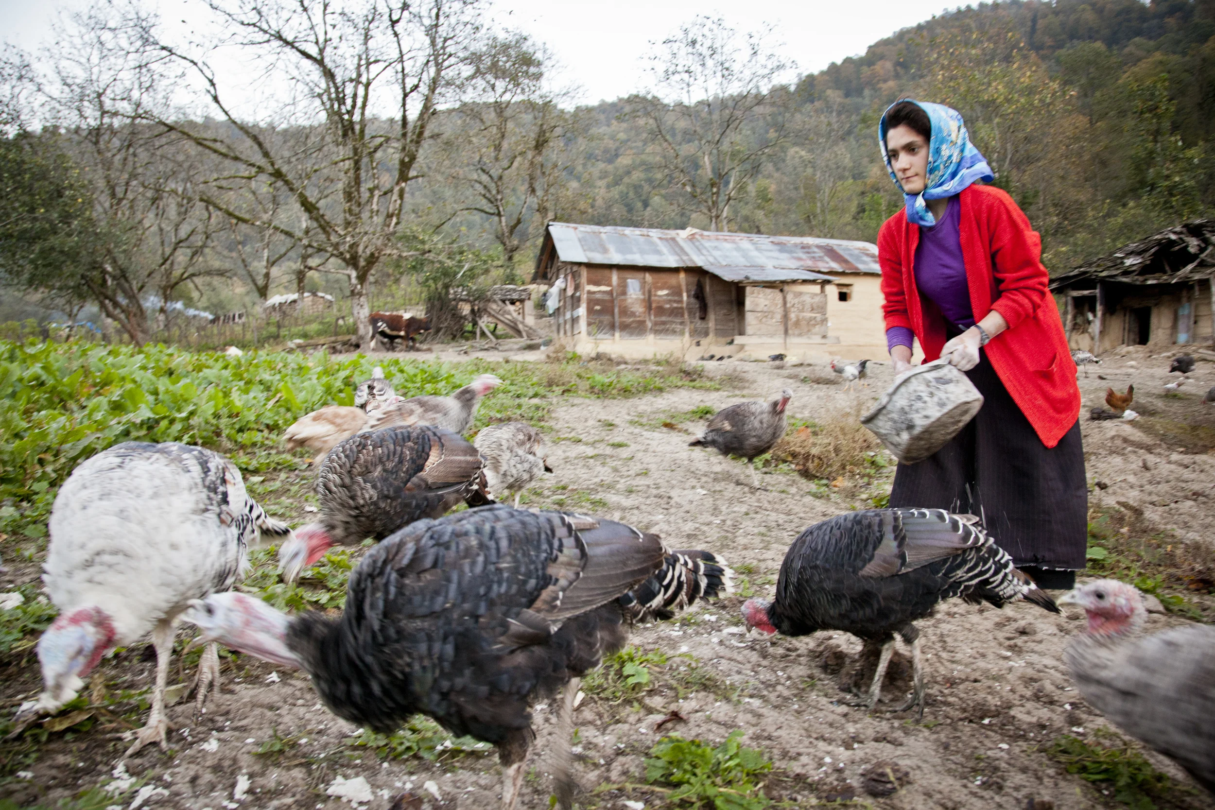 20131216 Talesh -0677.jpg