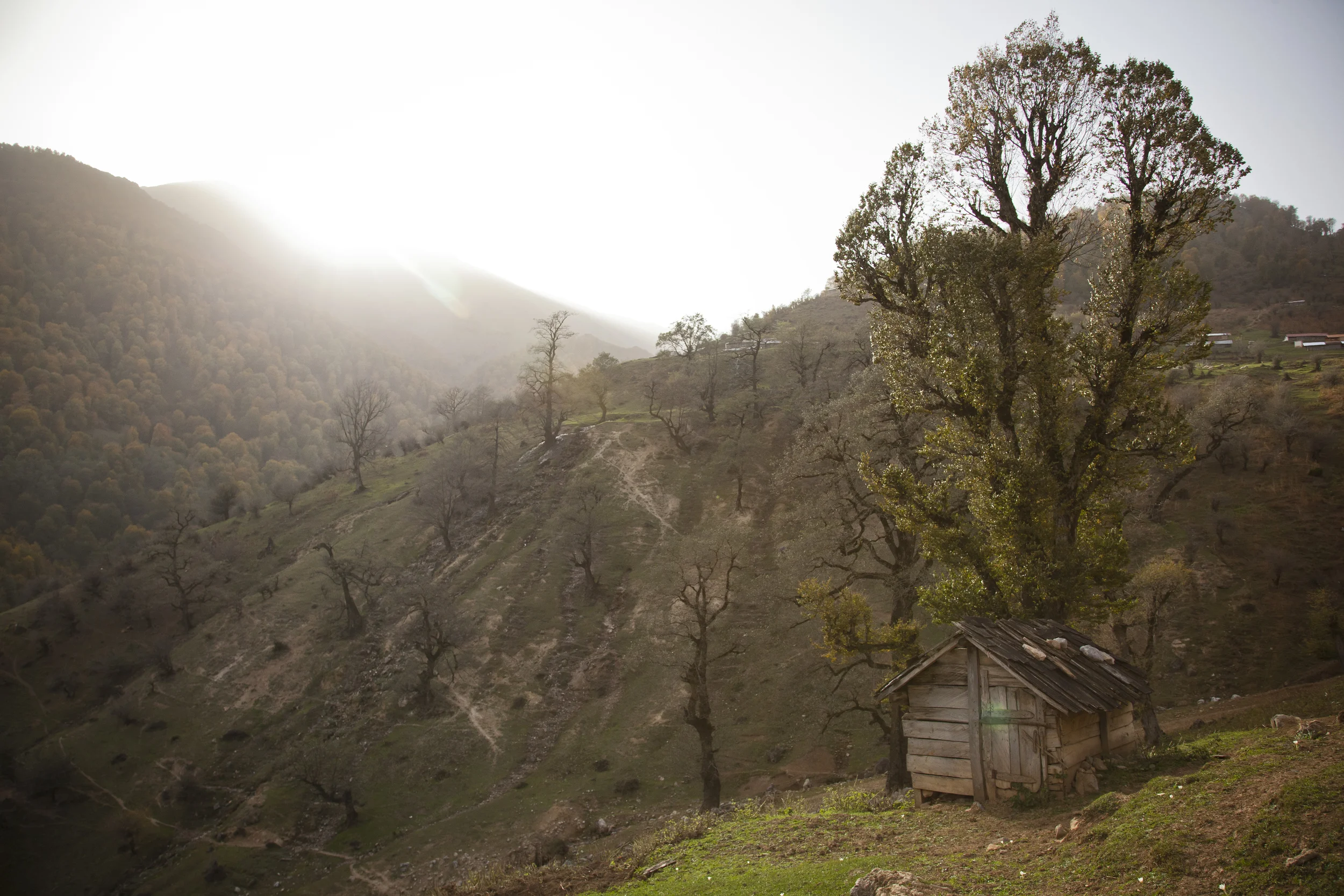 20131216 Talesh -0463.jpg