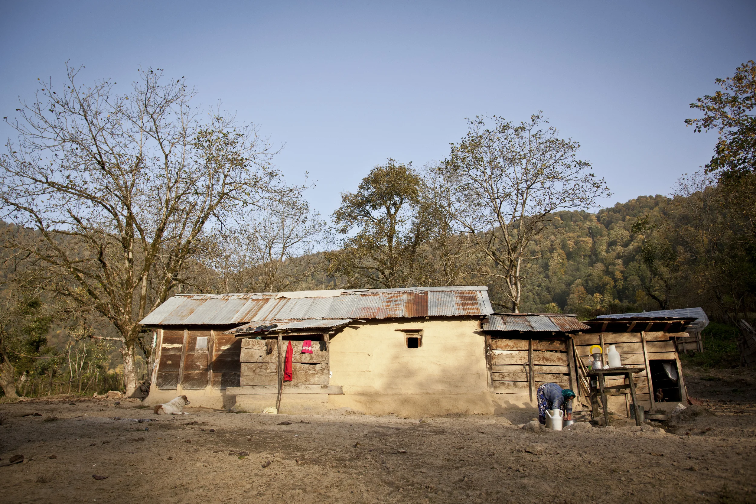 20131216 Talesh -0331.jpg