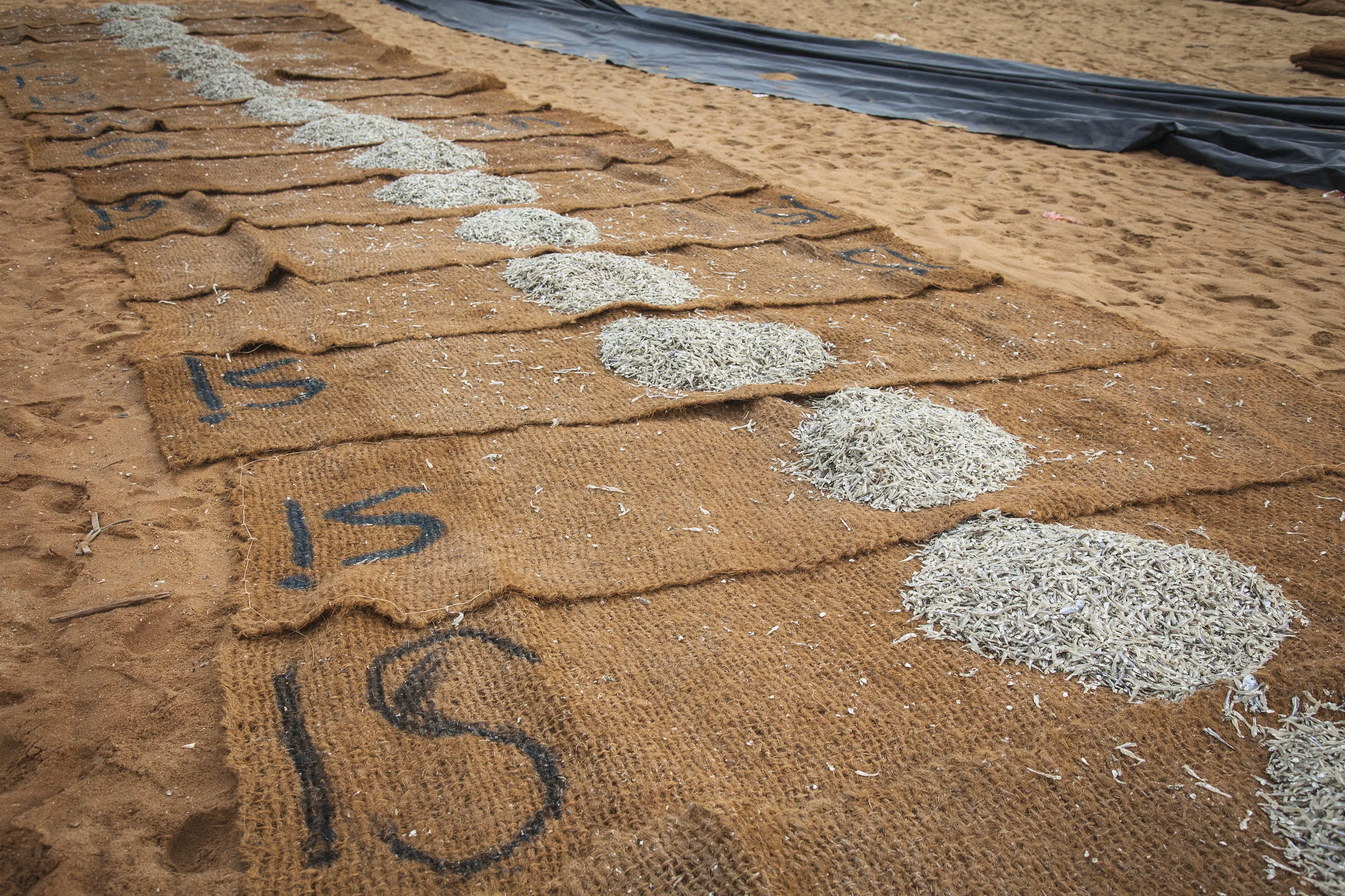 20140603 Negambo-7254.jpg