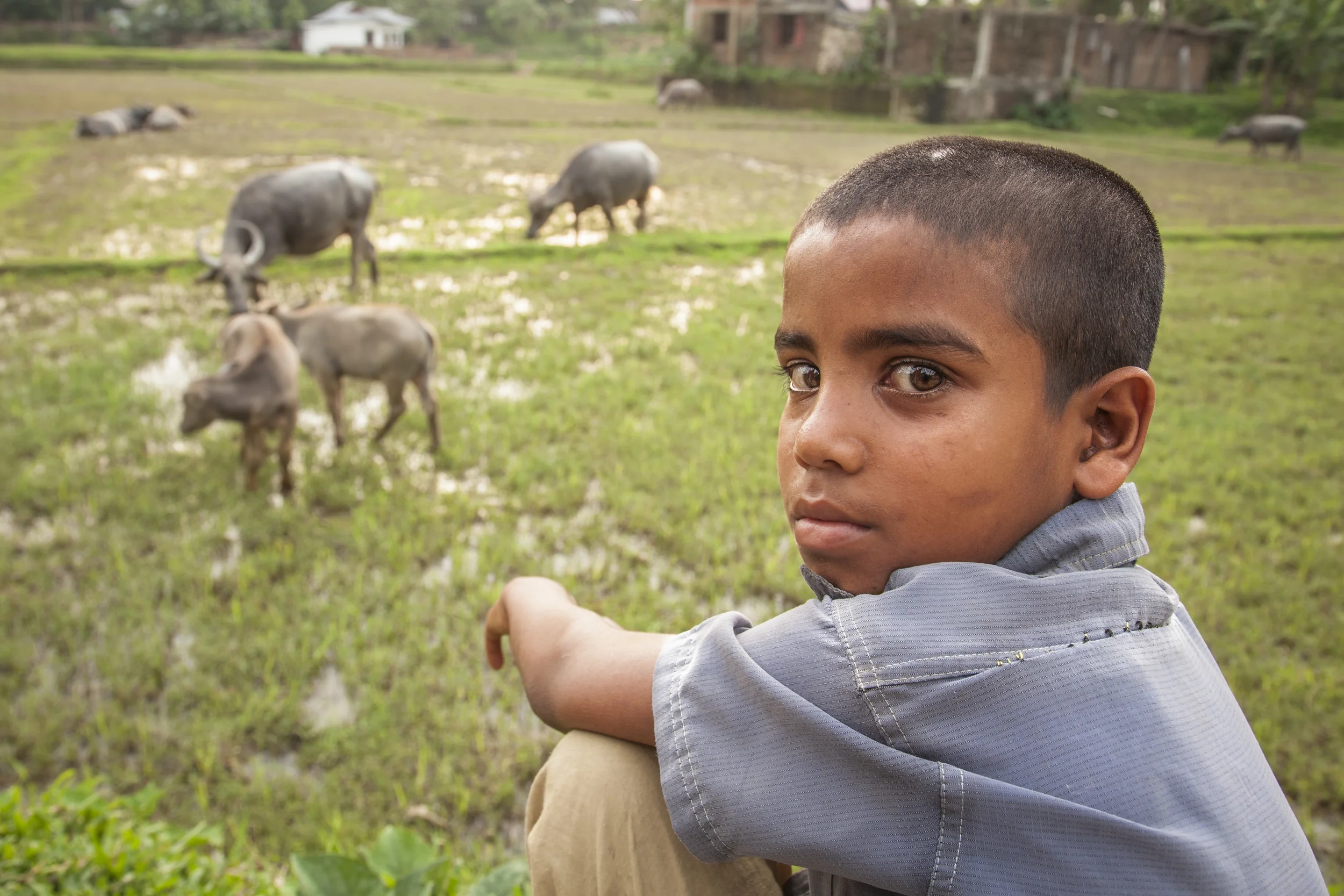 201407125 Bangladesh_04_5632.jpg