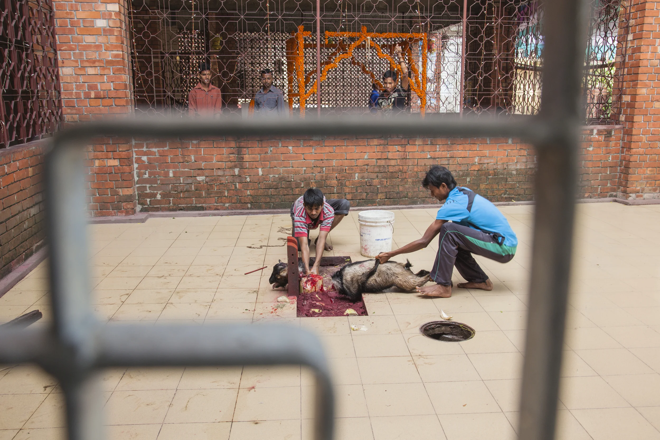 201407125 Bangladesh_17_5292.jpg