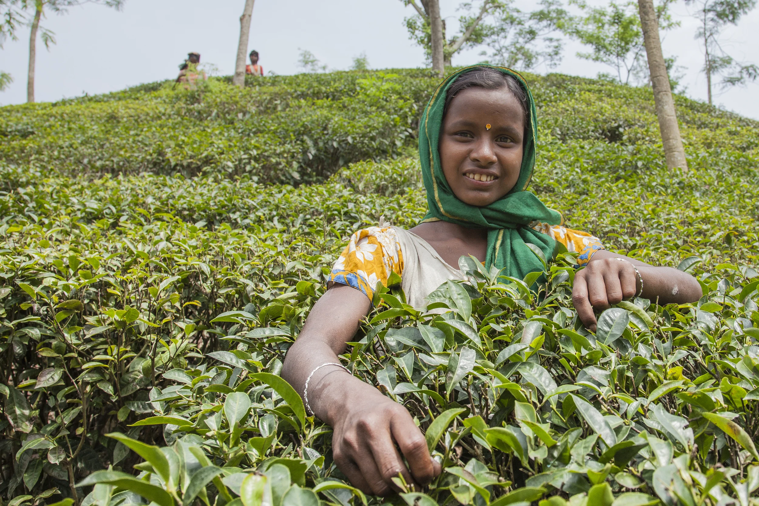 201407125 Bangladesh_22_5525.jpg