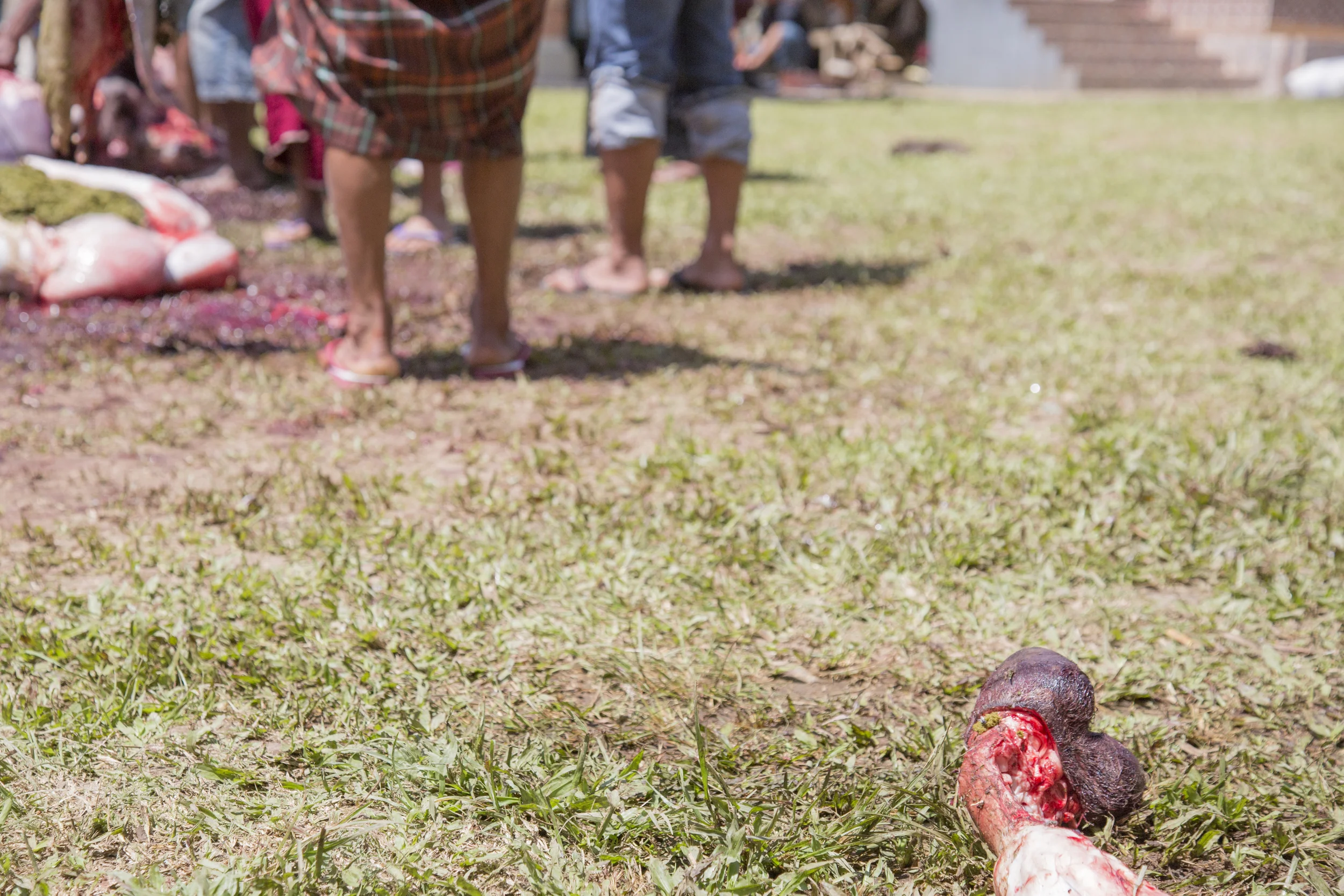 201407126 Tana Toraja_05_3221.jpg
