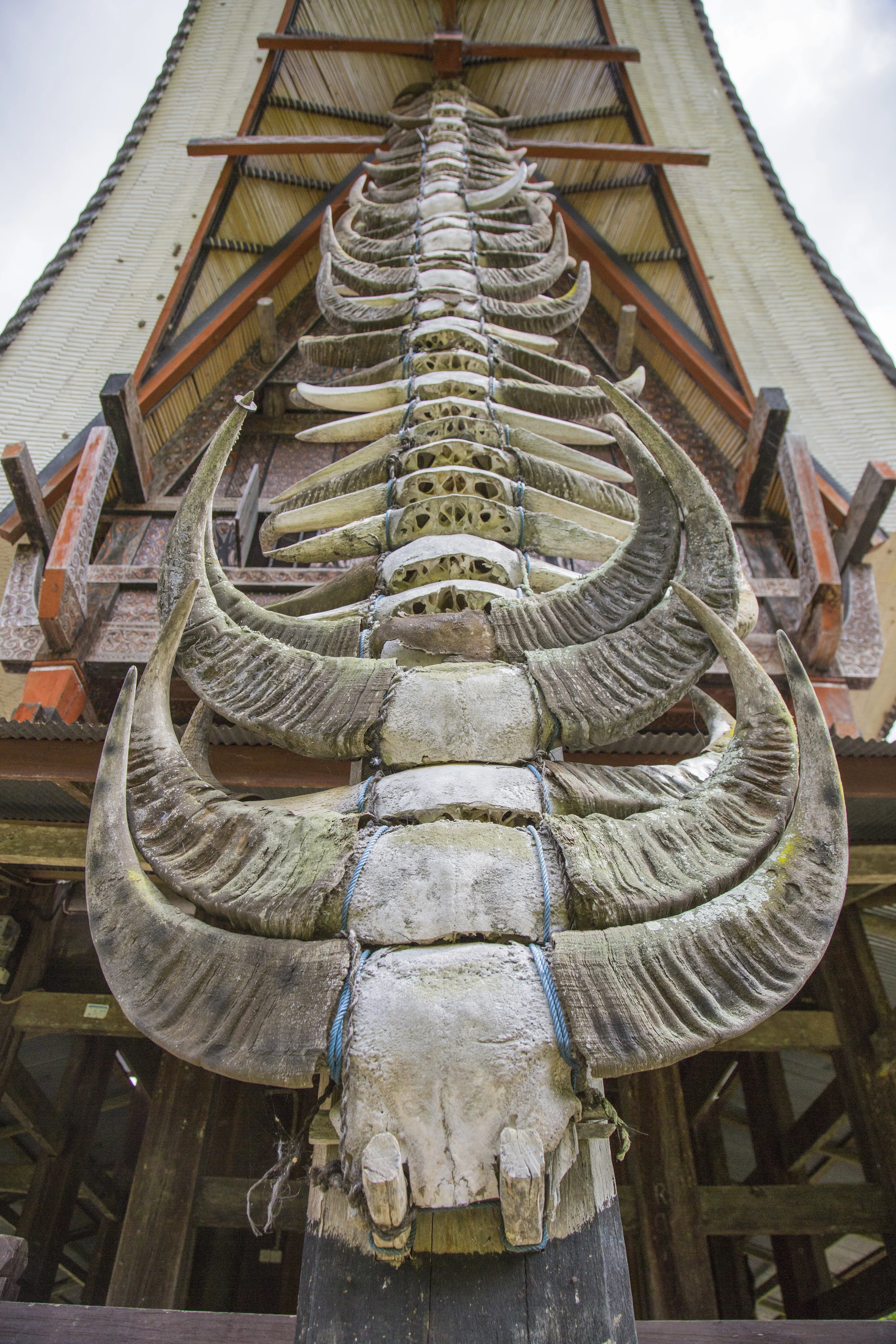 201407126 Tana Toraja_06_3470.jpg