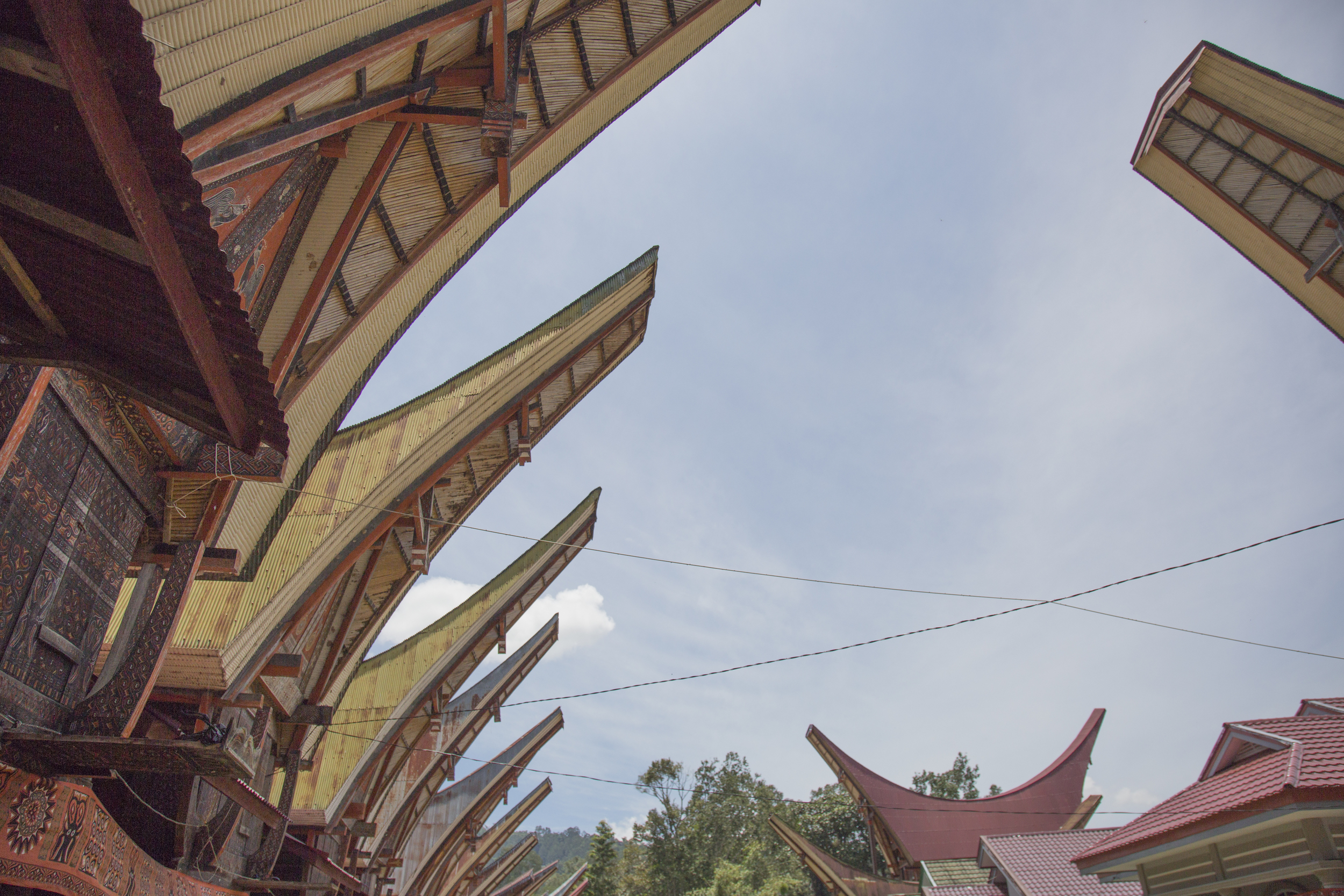 201407126 Tana Toraja_07_3241.jpg