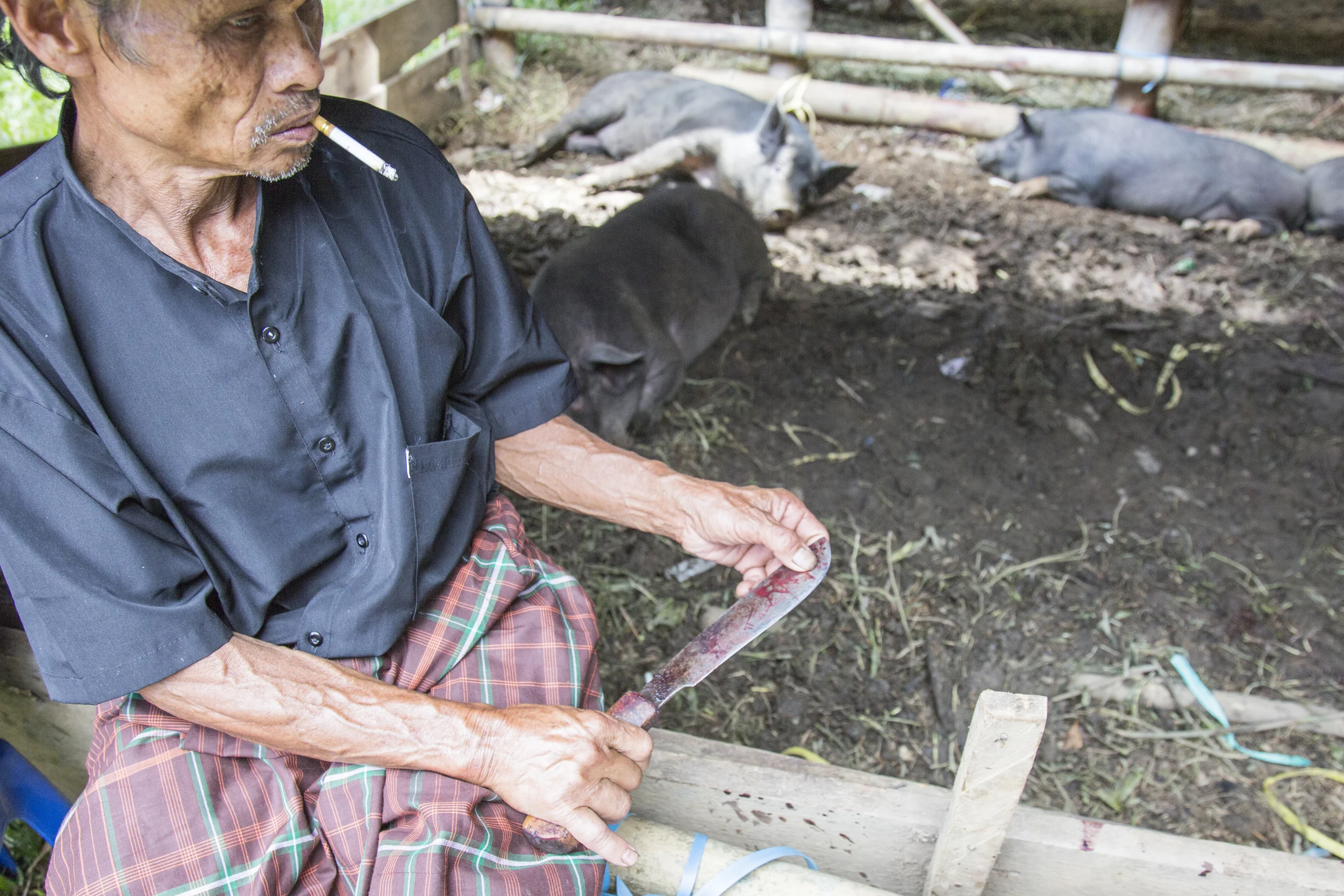 201407126 Tana Toraja_09_3383.jpg