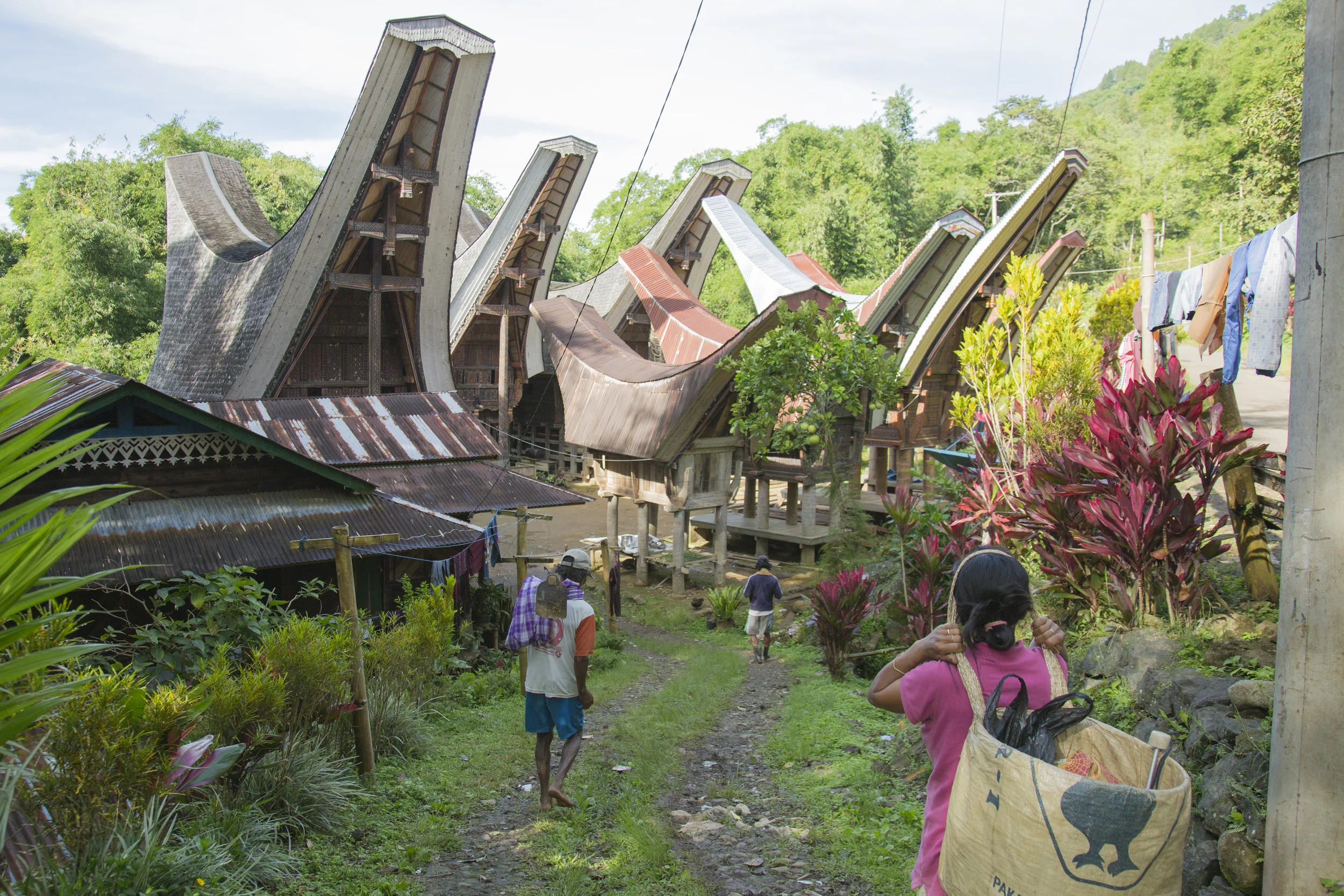 201407126 Tana Toraja_10_3807.jpg