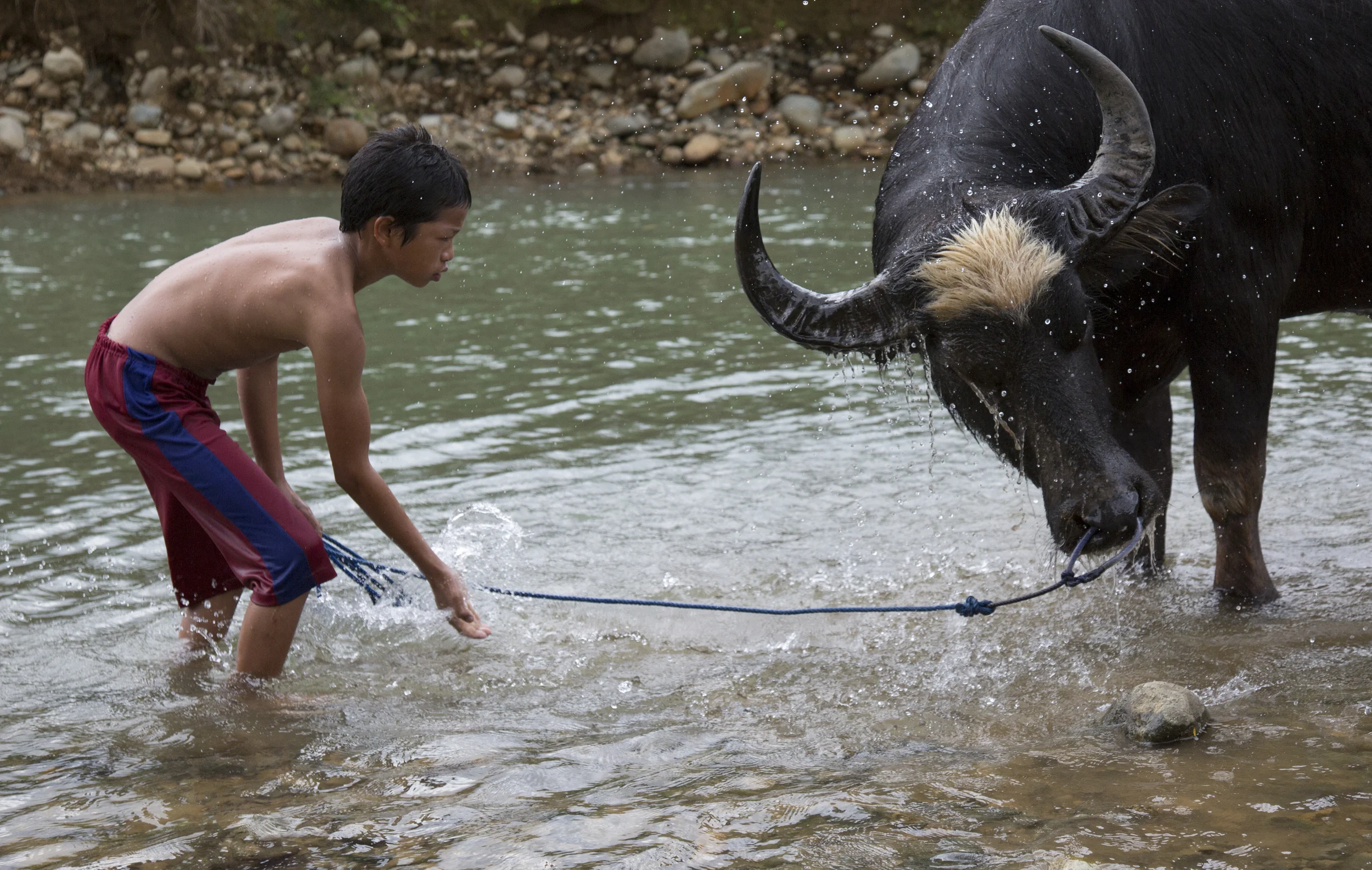 201407126 Tana Toraja_12_3452.jpg