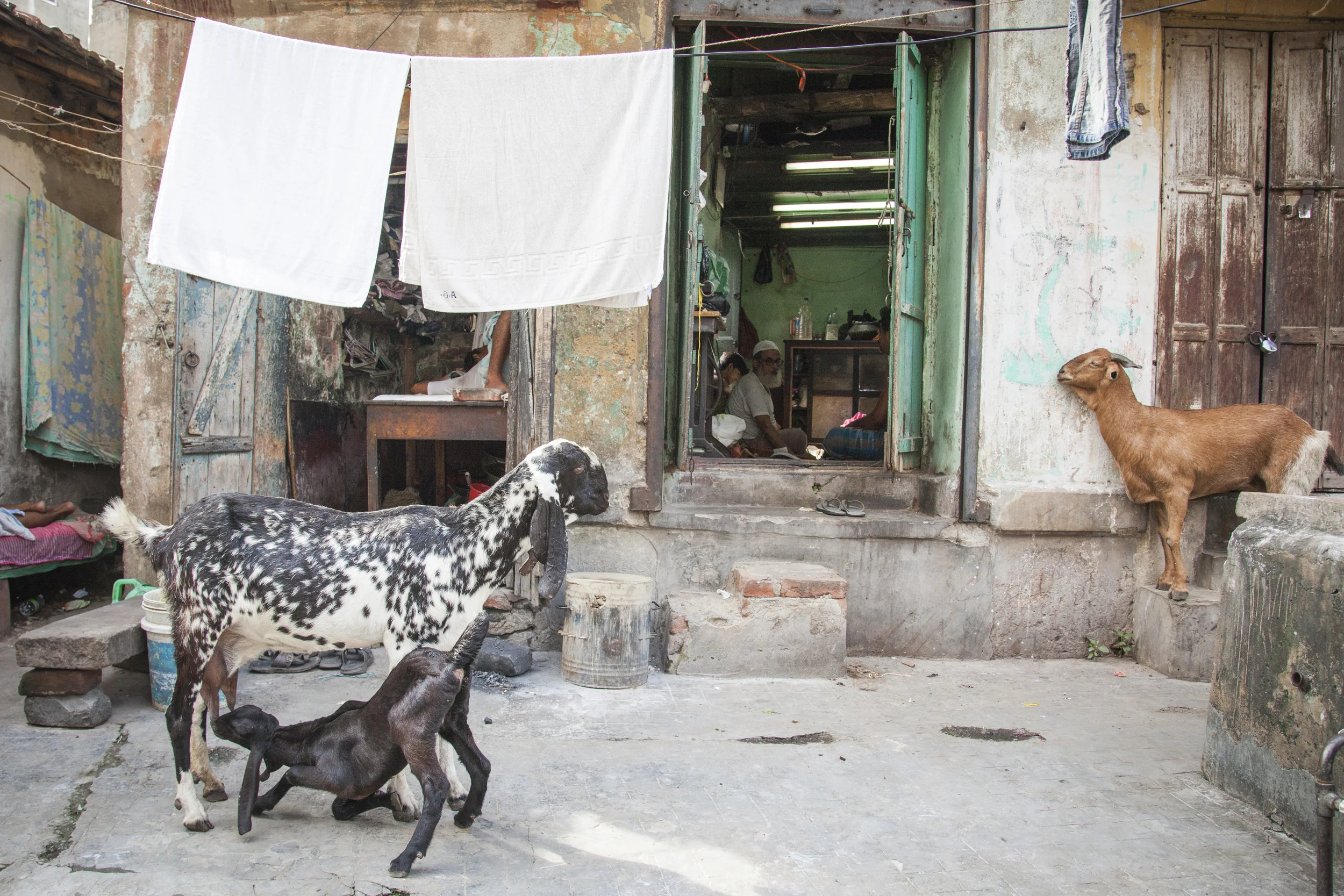201407128 India_3293.jpg