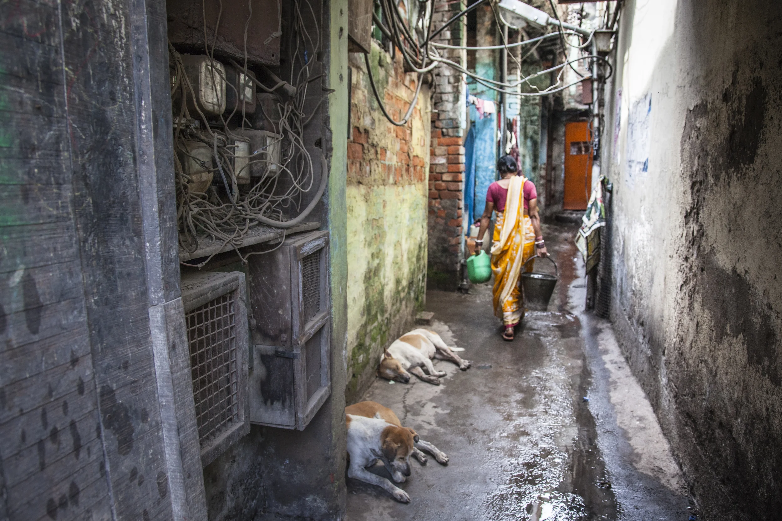 201407128 India_3906.jpg