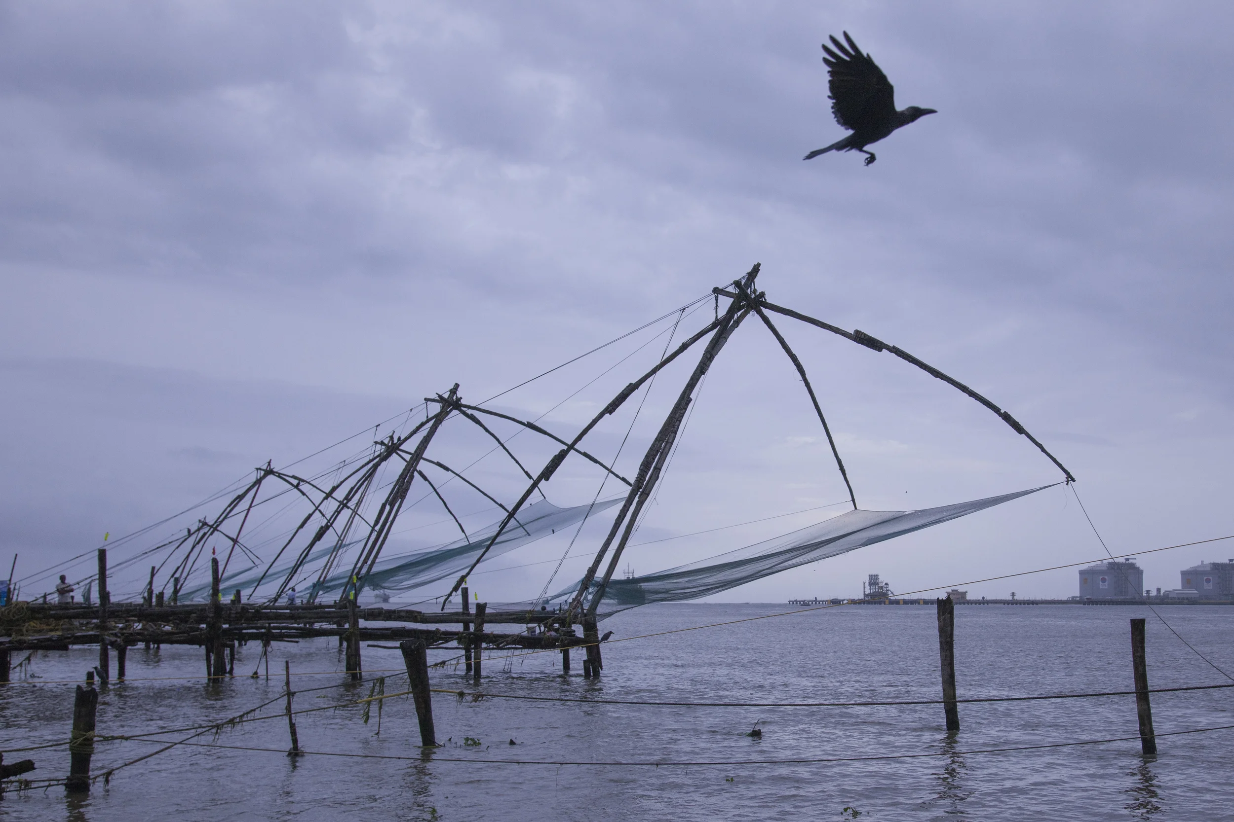 201407128 India_7756.jpg