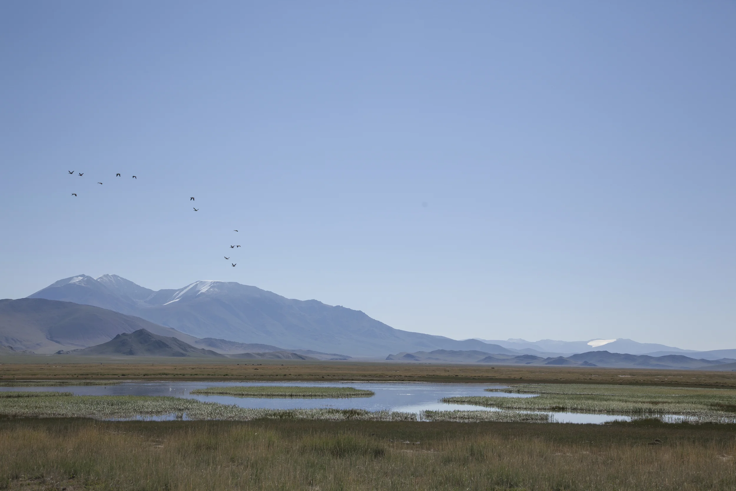 201407128 Mongolia Eagle_16_4824.jpg