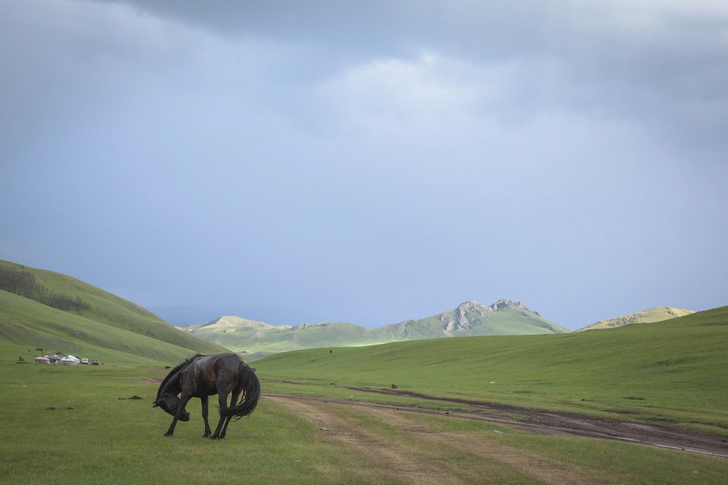 201407129 Mongolia_9102.jpg