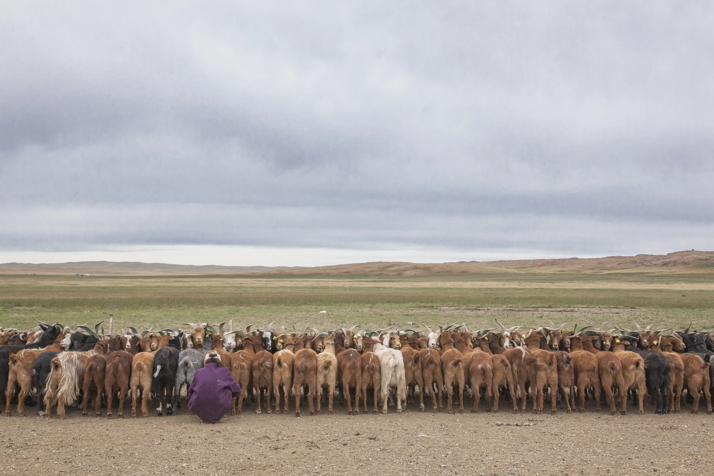 201407129 Mongolia_7328.jpg