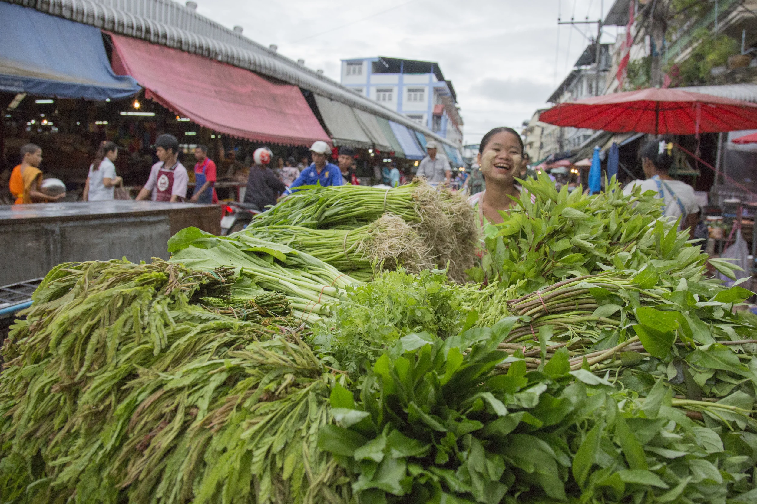 07_20150127_Mae Sot_1666.jpg