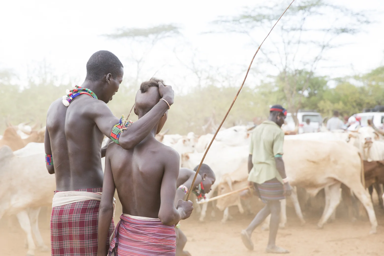 Hammer Bull Jump_24_6986.jpg