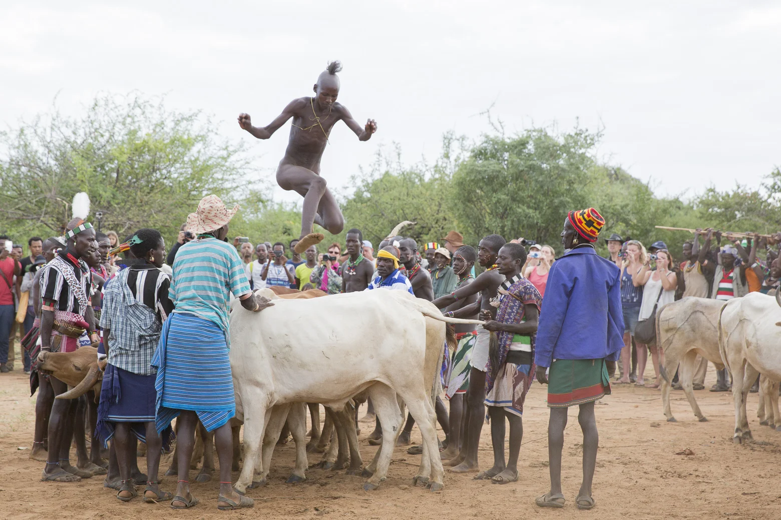 Hammer Bull Jump_23_6906.jpg