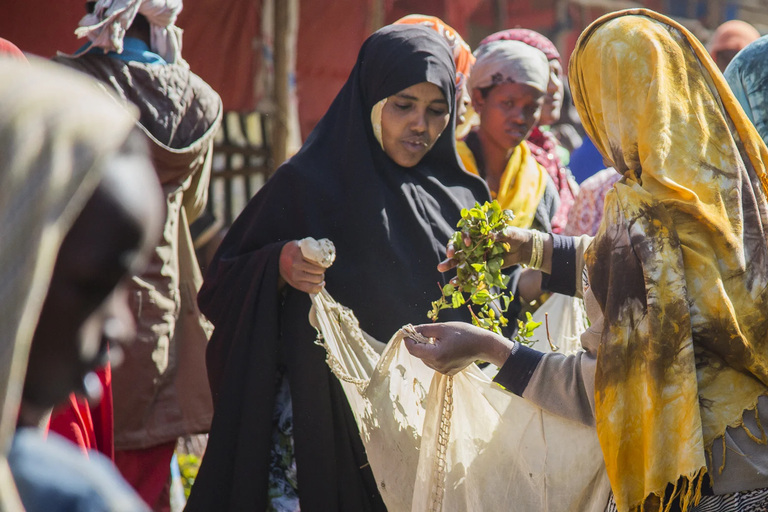 Awaday Khat Market _07_5066.jpg