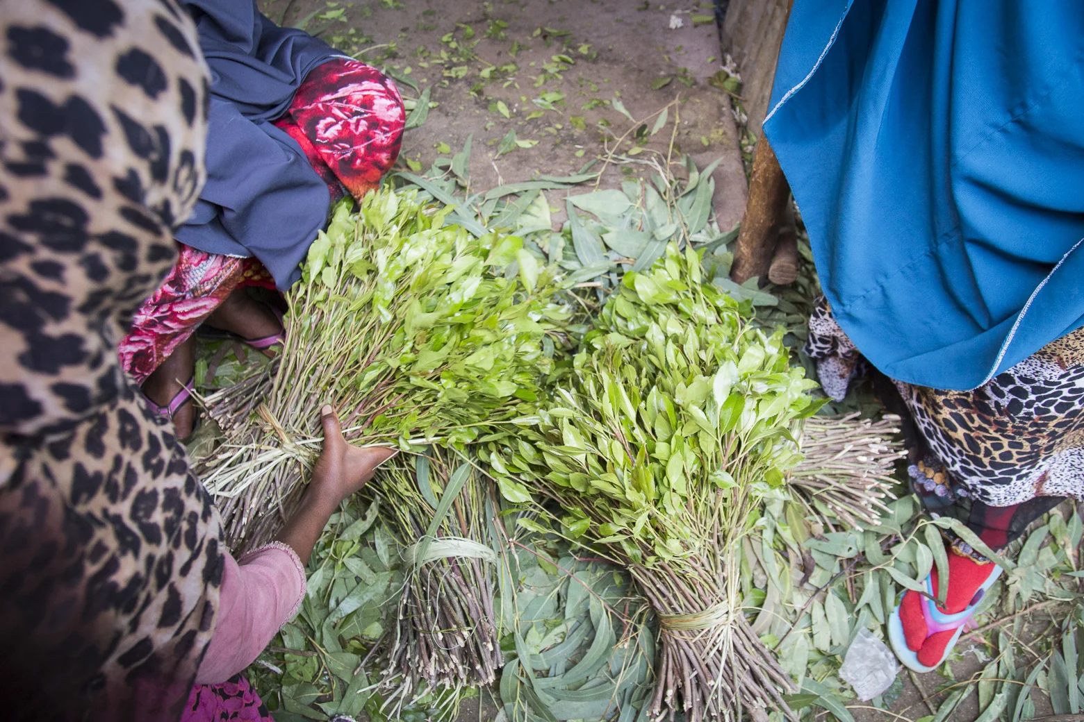 Awaday Khat Market _10_5334.jpg