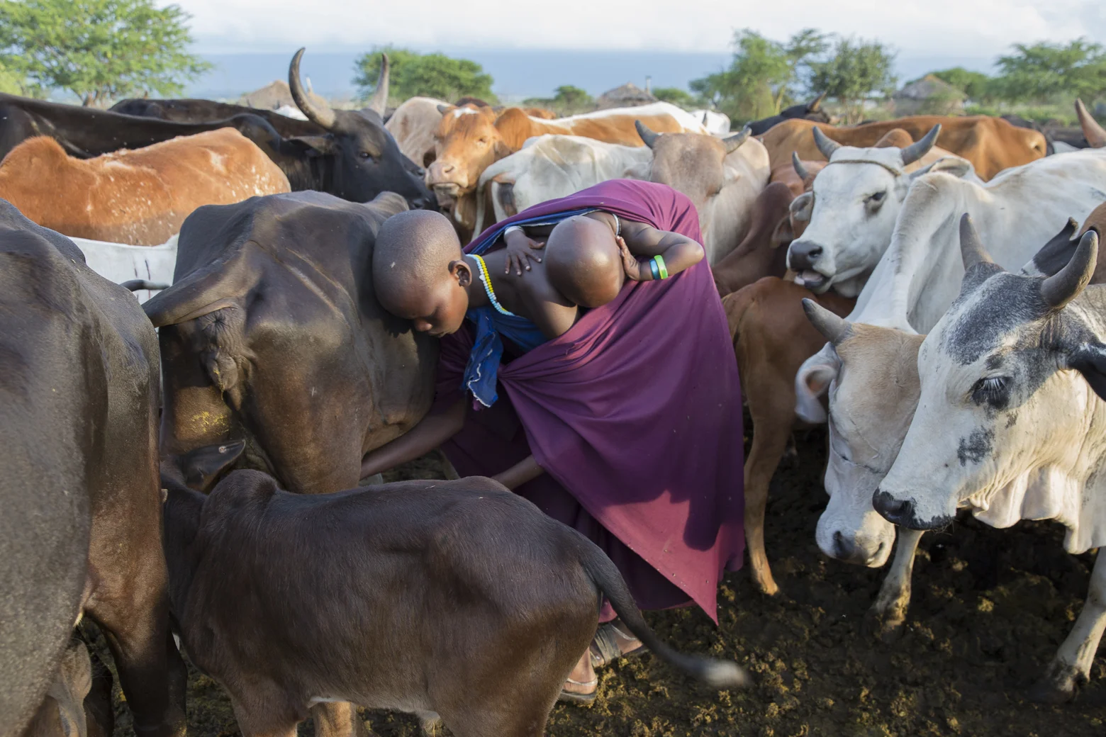 Maasai_4051.jpg