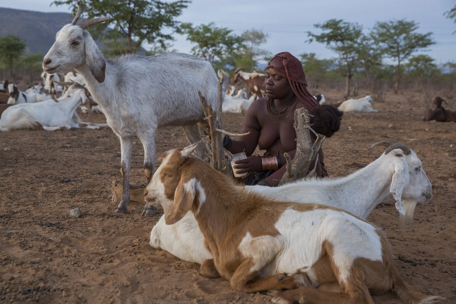 Himba_1933.jpg