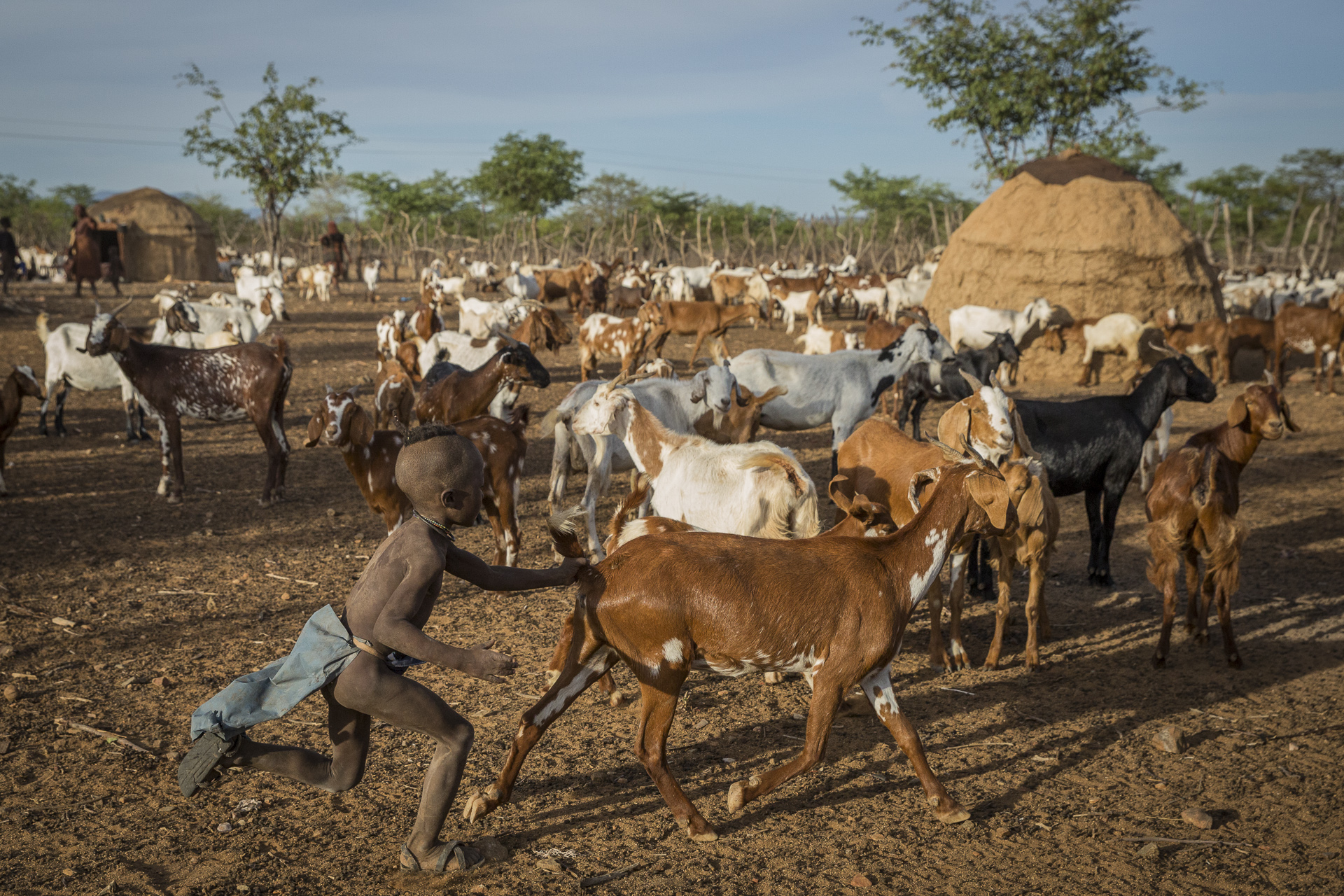Himba_2061.jpg