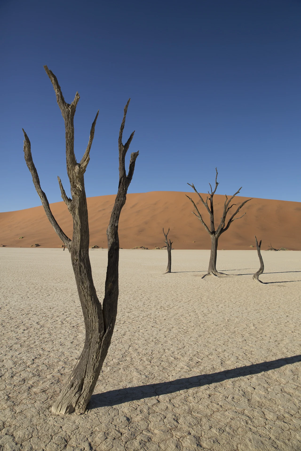 Sossuvlei _0153.jpg