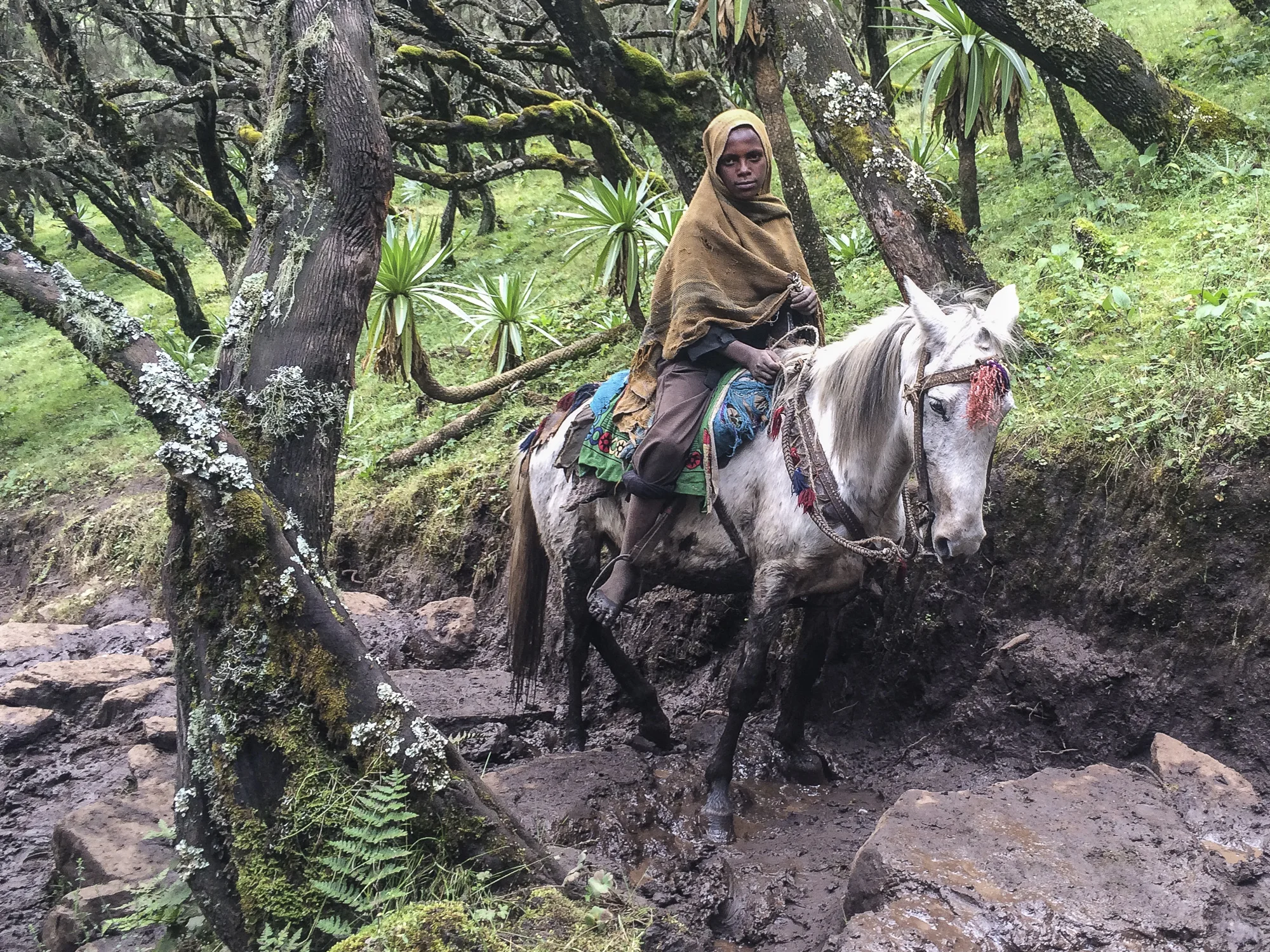 01 Talk Slideshow_04_8600.jpg