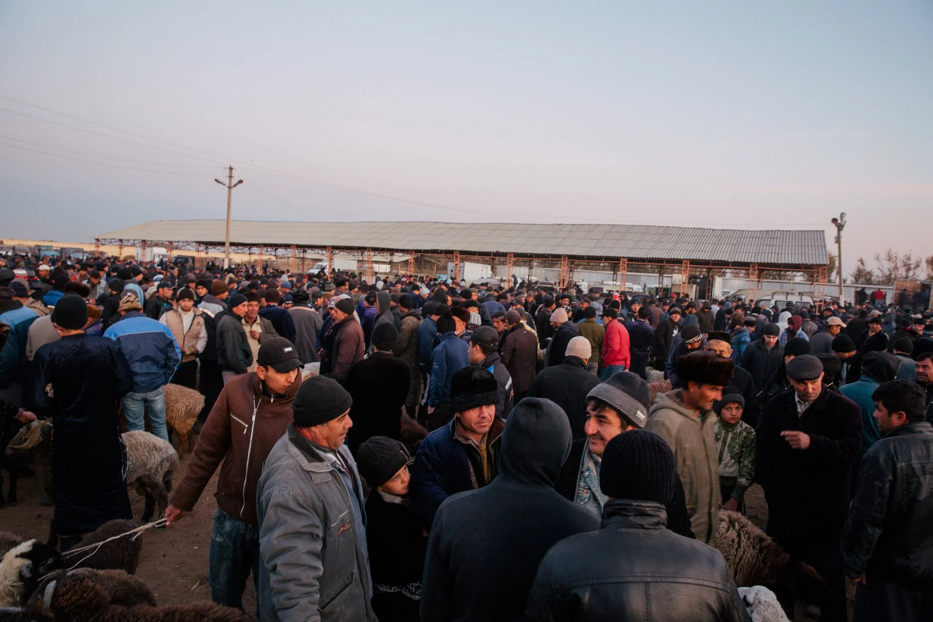 Bukhara Animal Market_8342.jpg