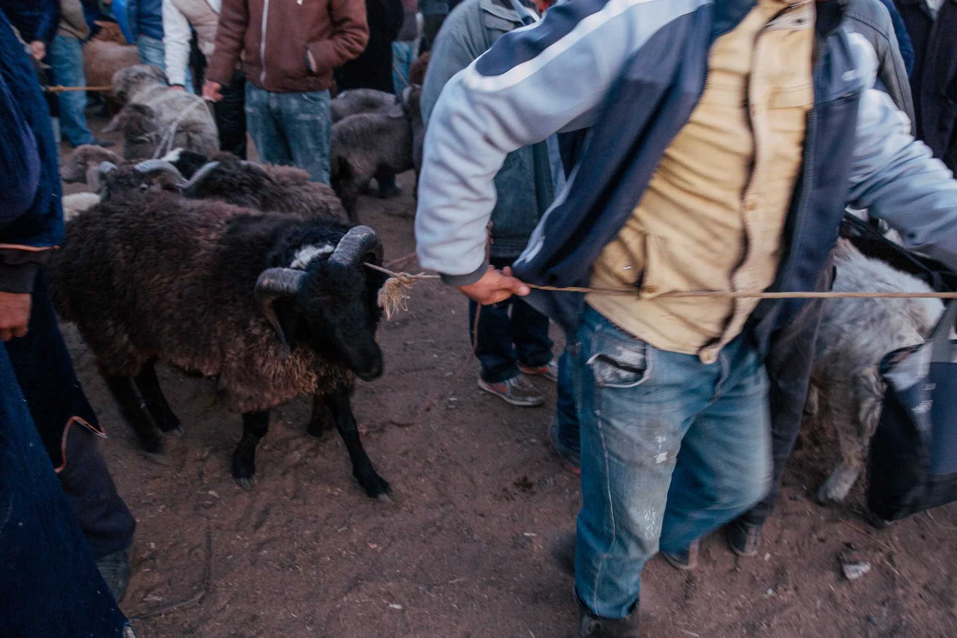 Bukhara Animal Market_8343.jpg
