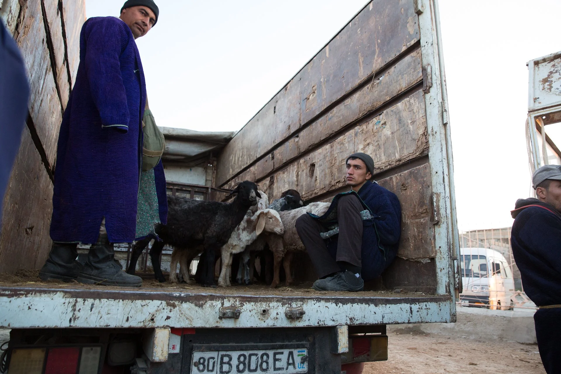 Bukhara Animal Market_8551.jpg