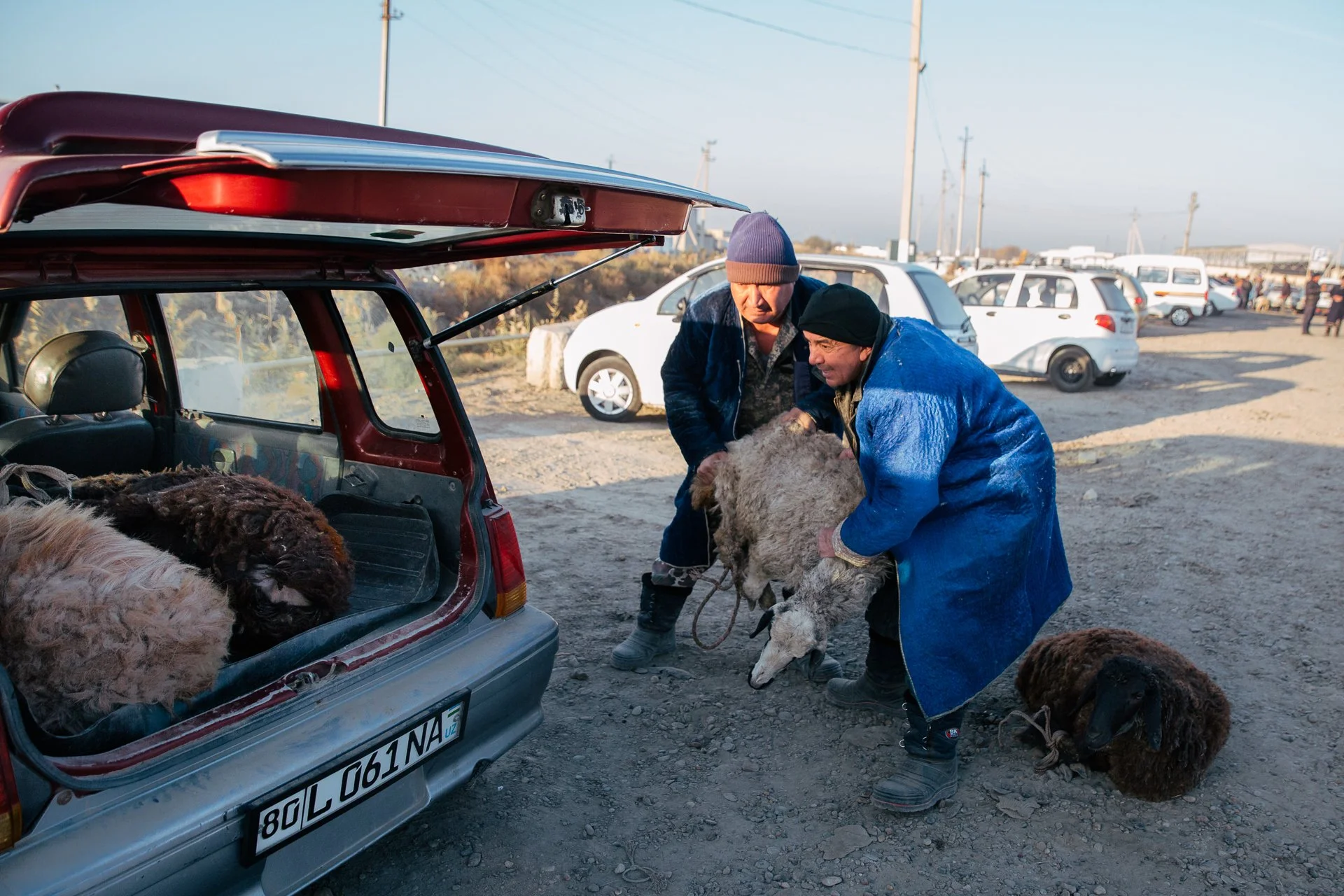 Bukhara Animal Market_8792.jpg