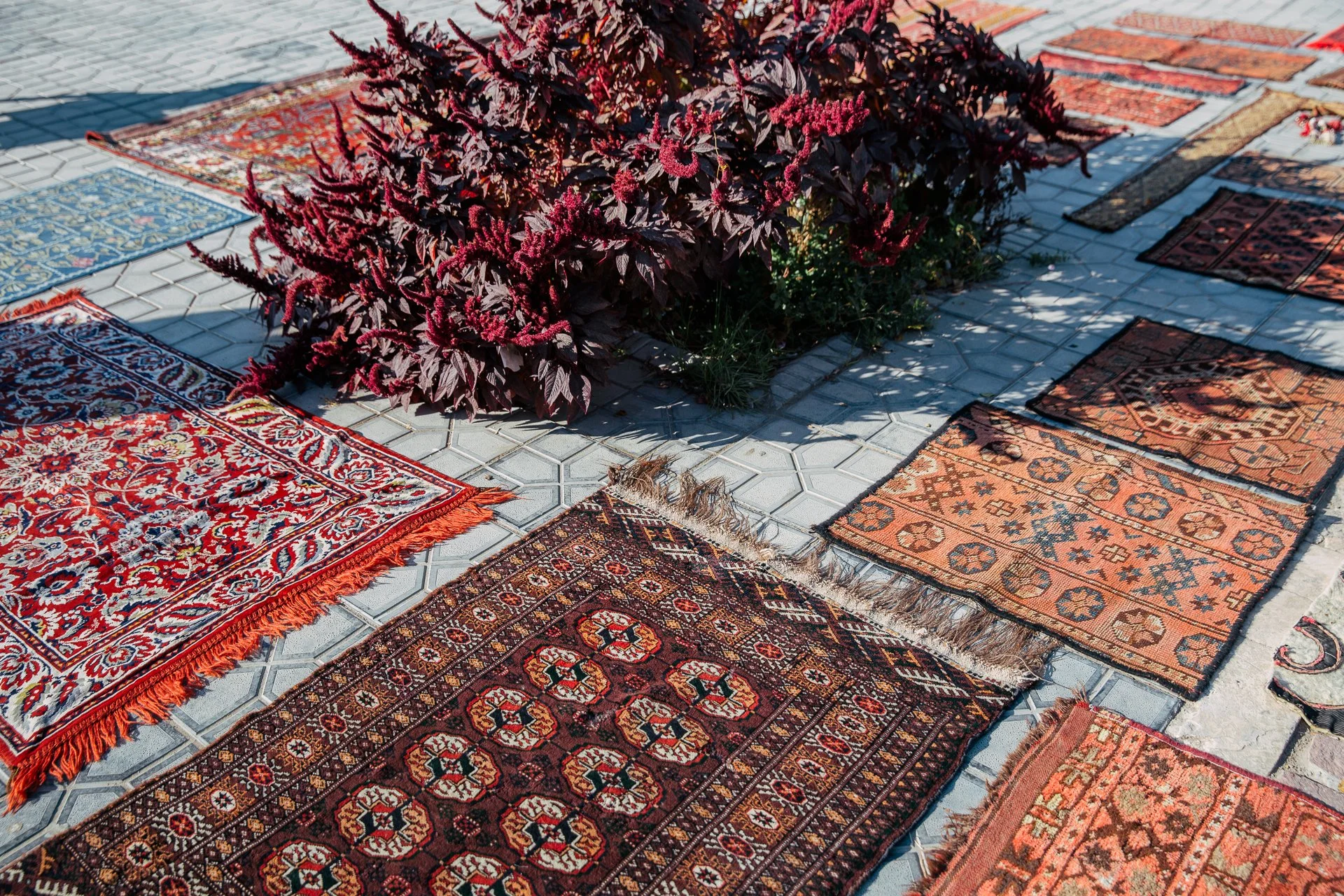 Uzbekistan_6982.jpg