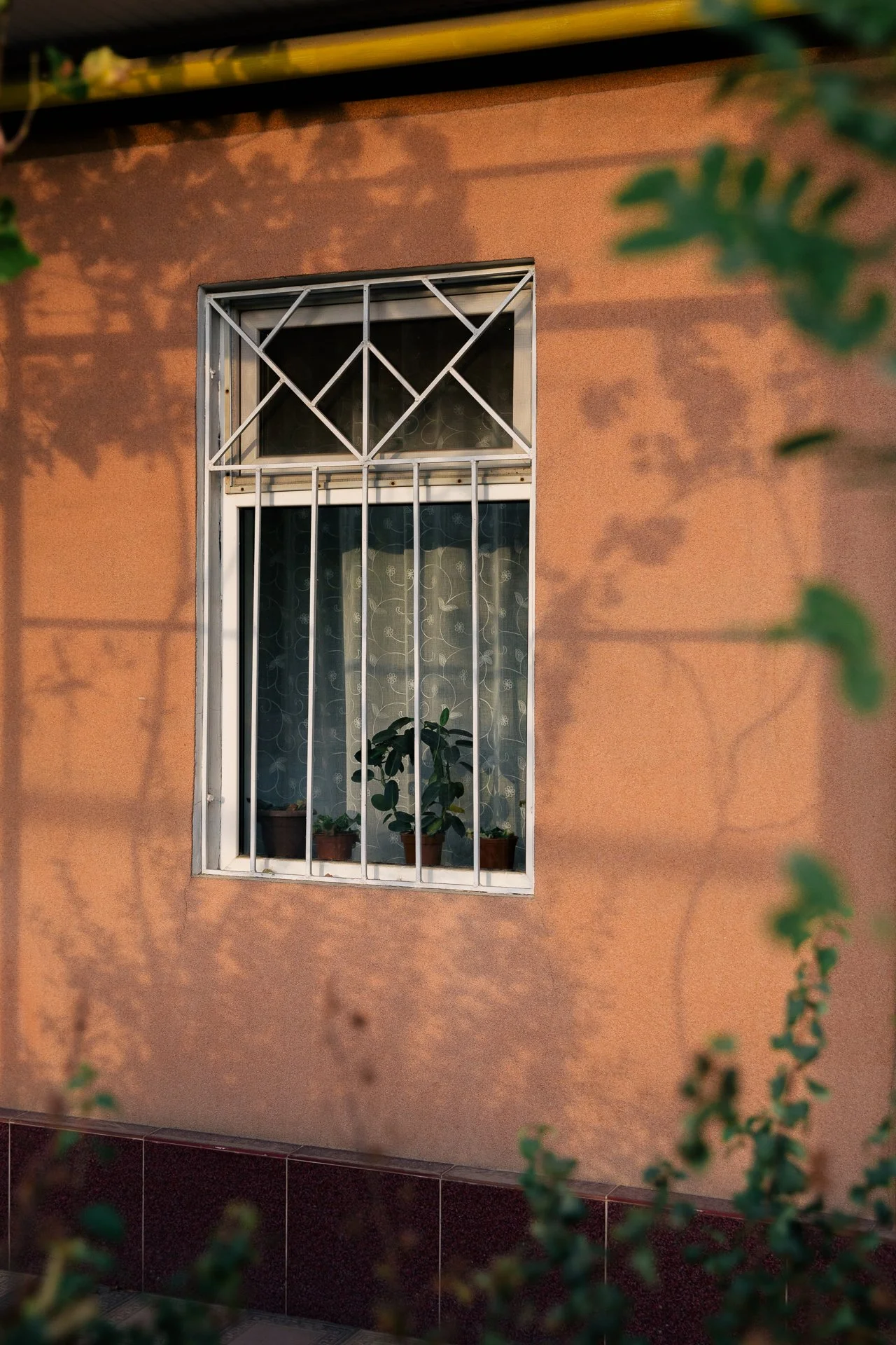 Uzbekistan_9724.jpg