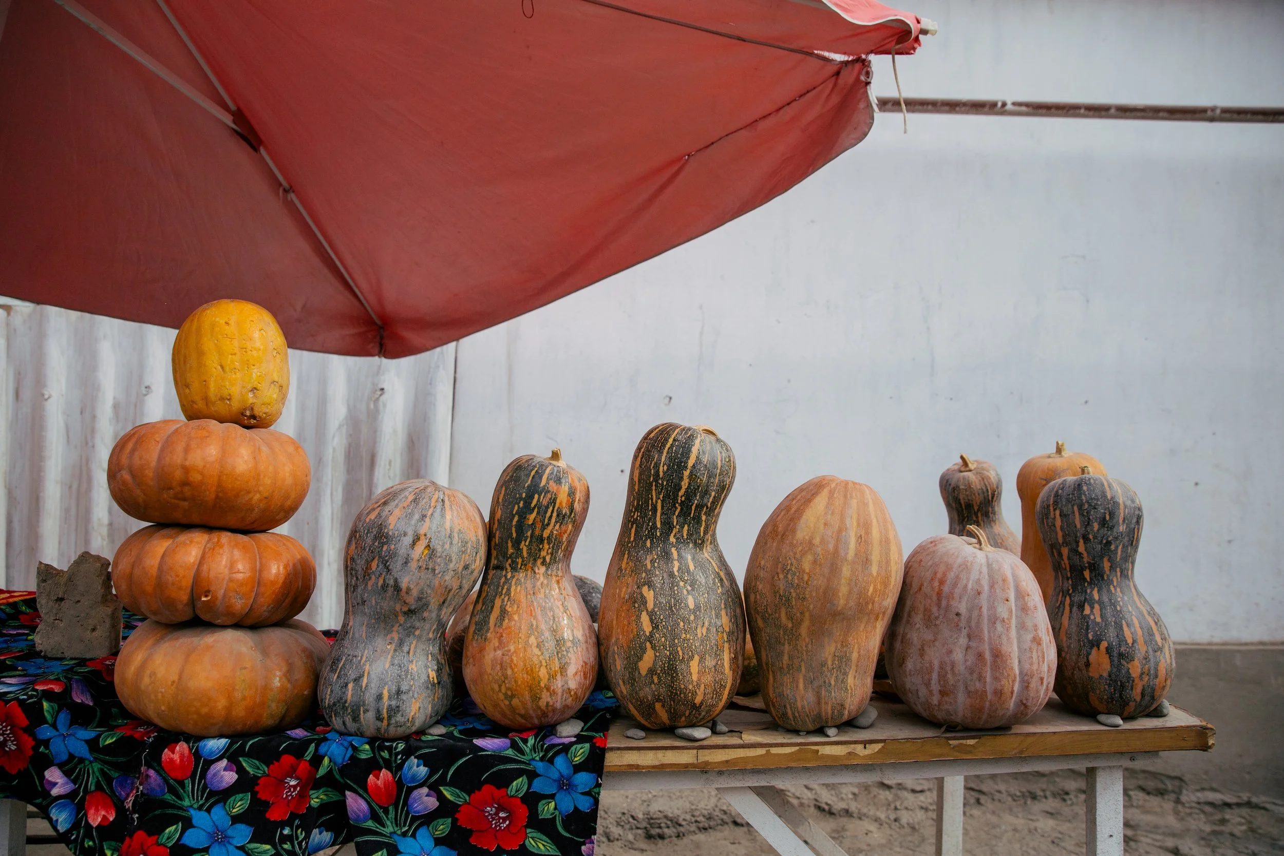 Osh_3740.jpg