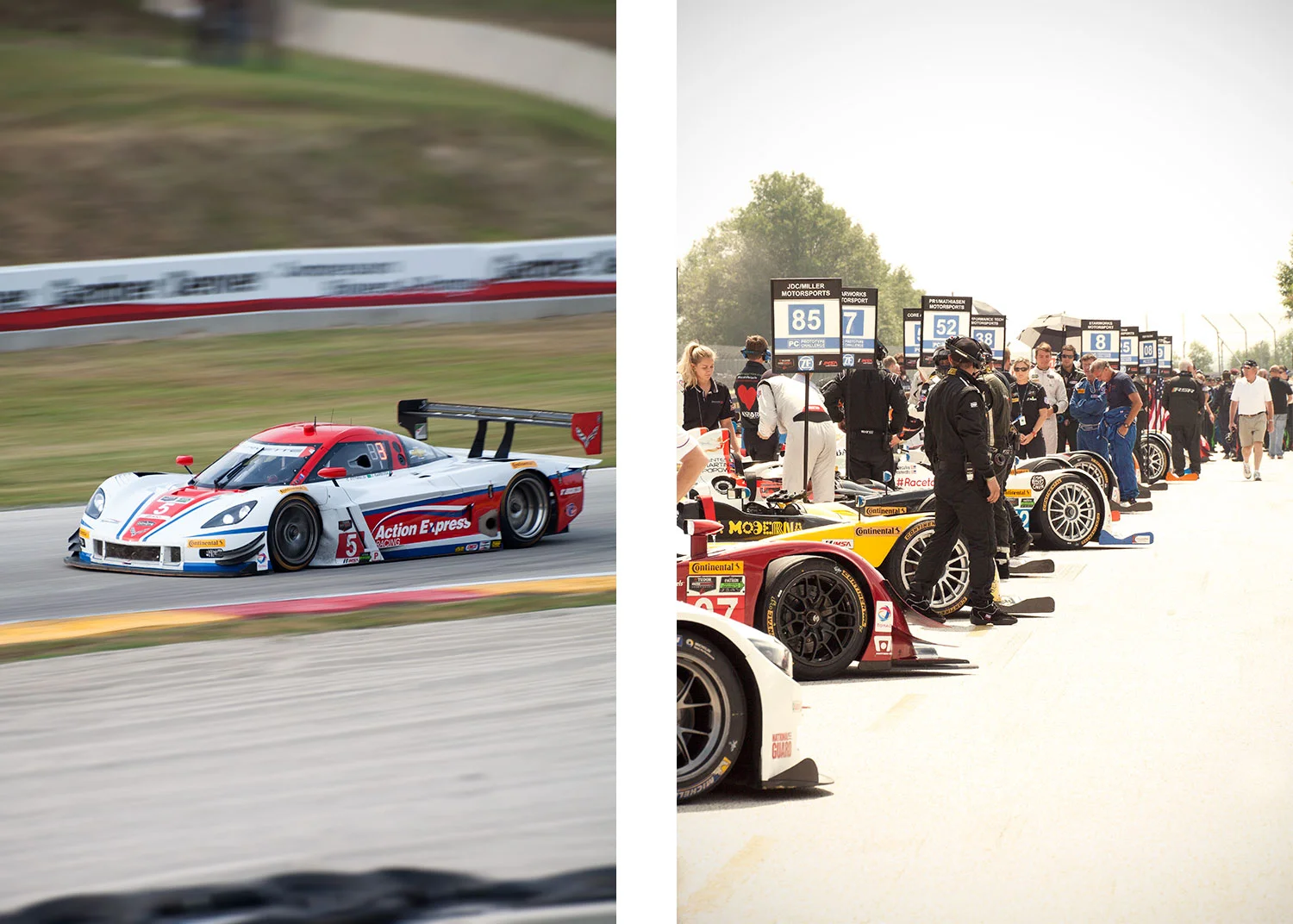 14_IMSA_3.jpg