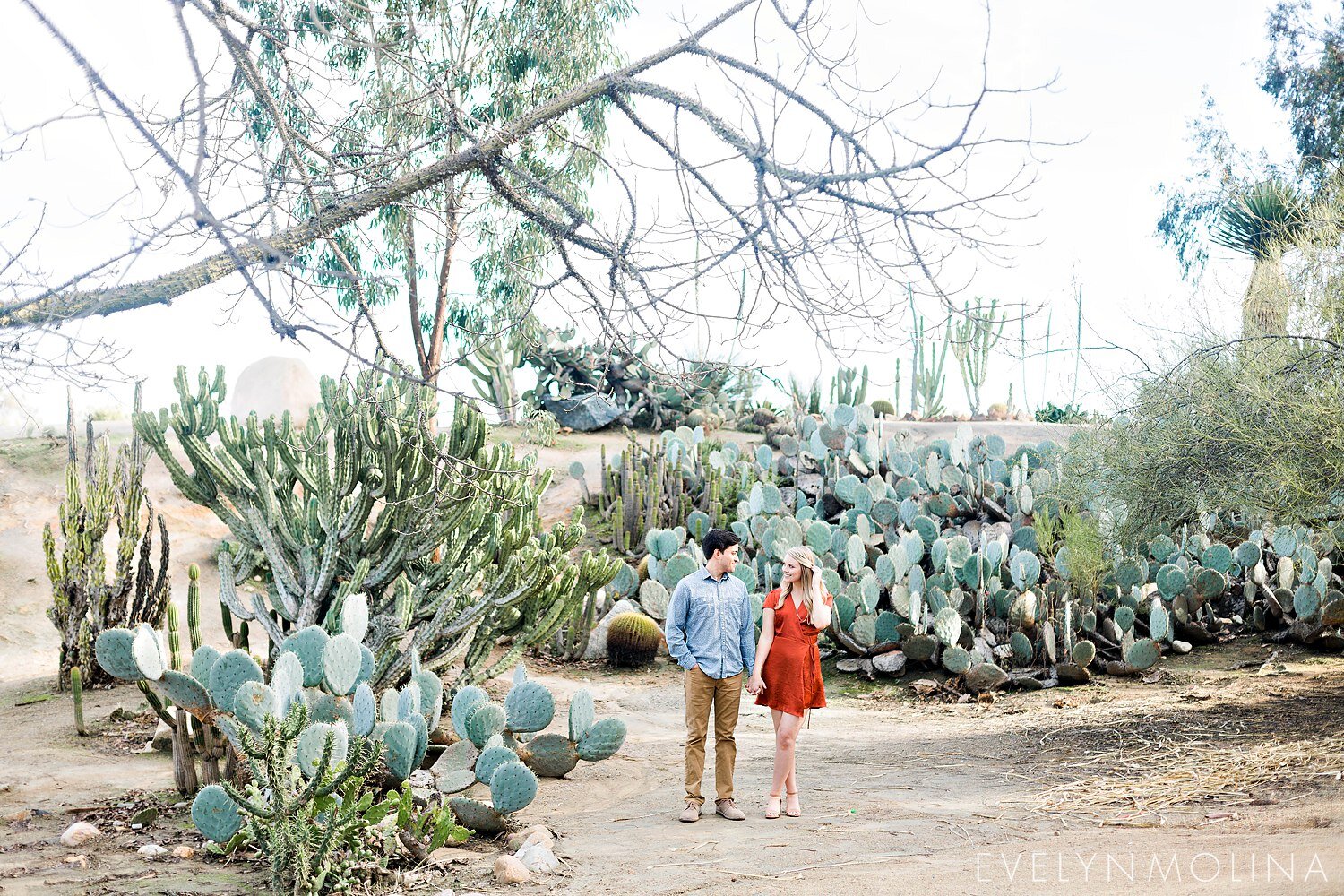 cactus garden san diego engagement - Ivy and Bryan_0017.jpg