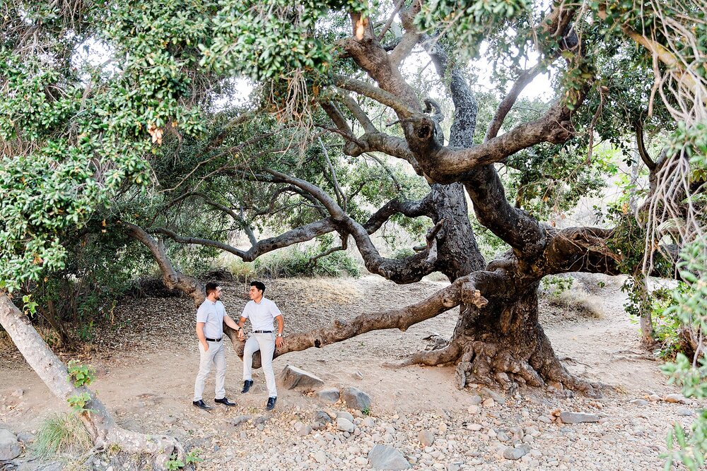 San Diego Gay Wedding Photographer - Mission Hills Engagement Session_0023.jpg