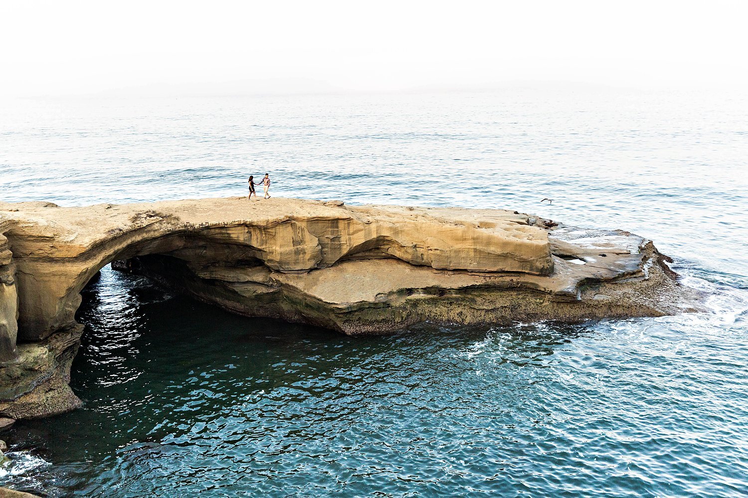 Sunset Cliffs Engagement Session - Same Sex Wedding San Diego_0027.jpg