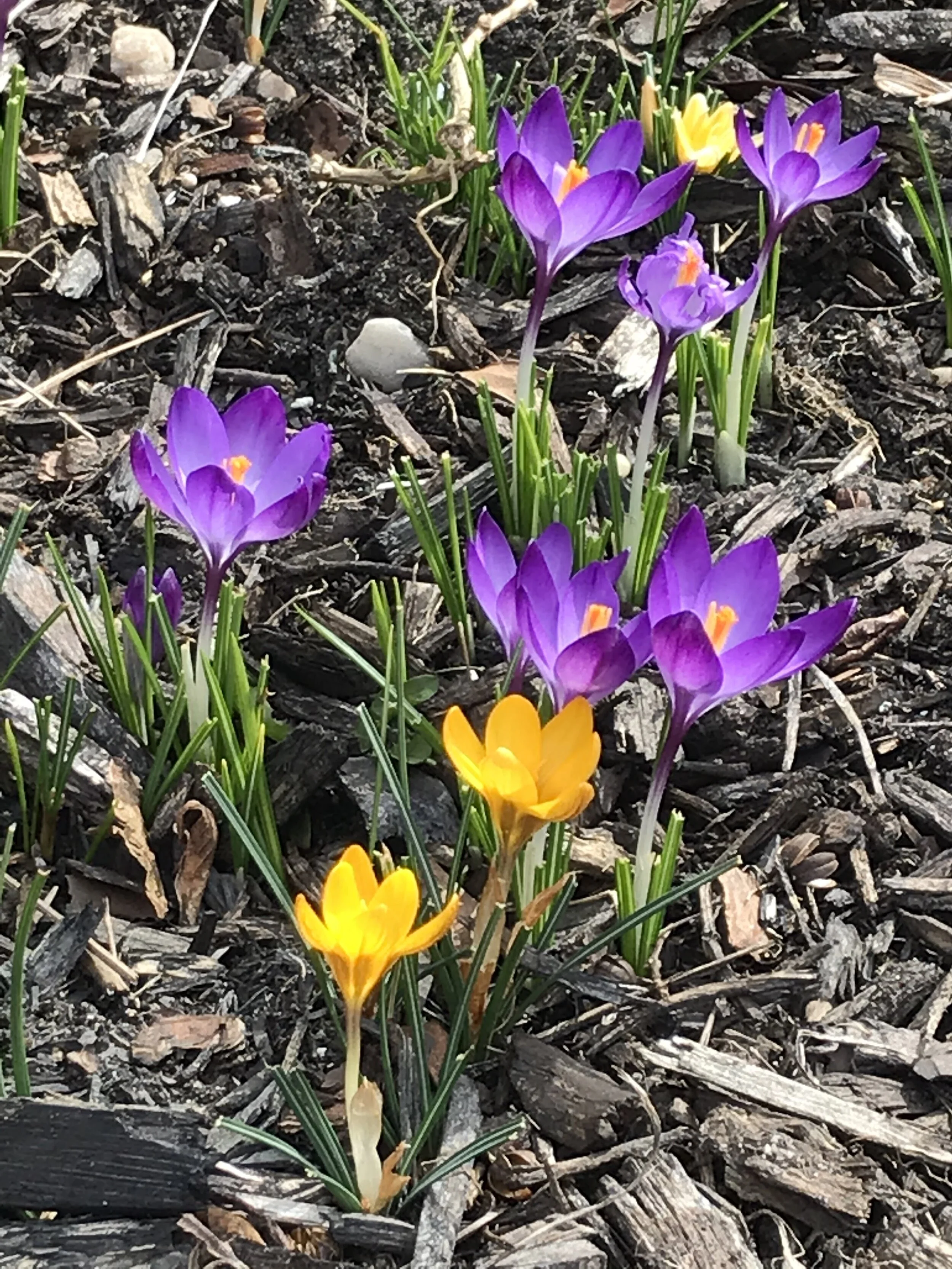 LETTER TO OUR COMMUNITY- How we are helping our community during COVID-19